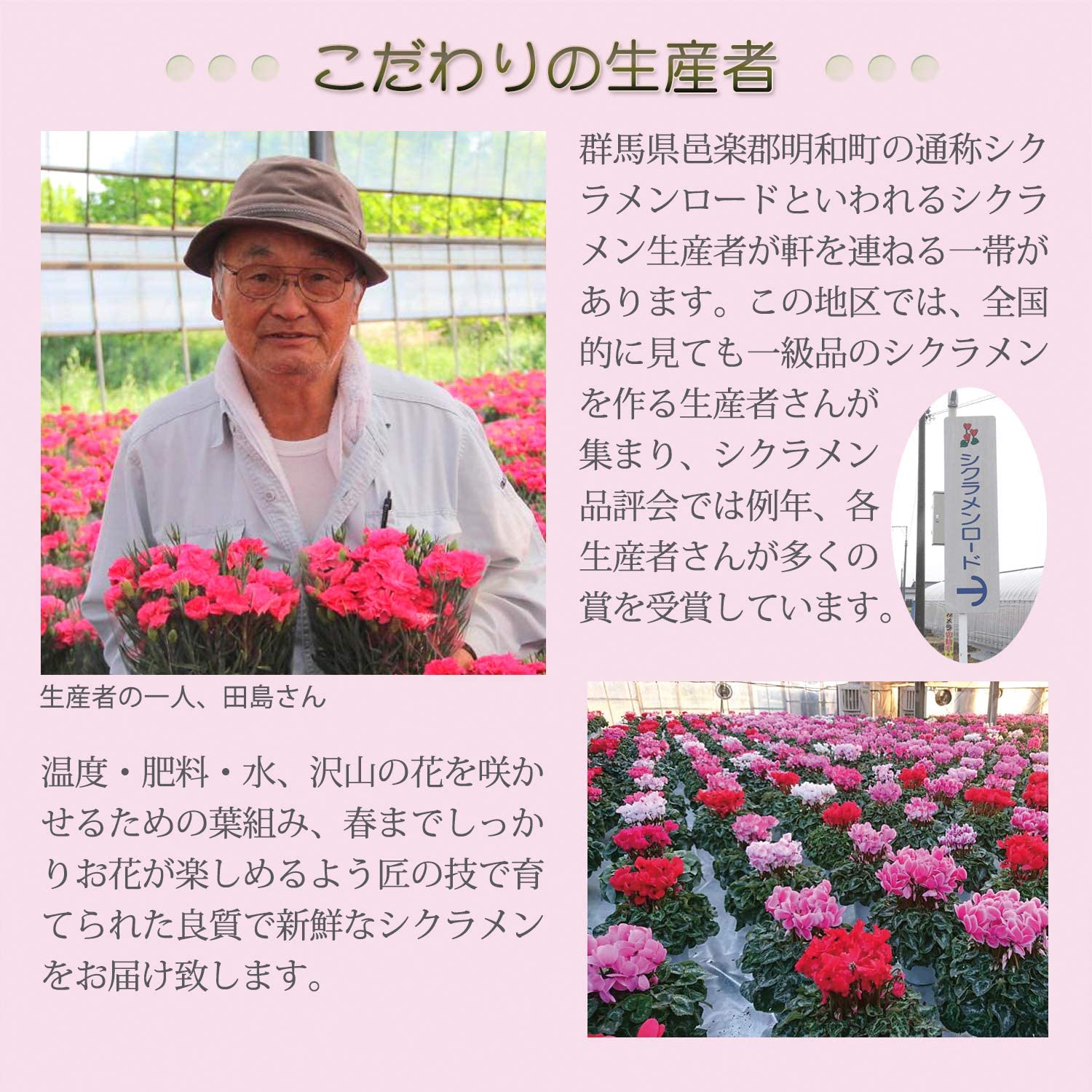 �������� ���ե� �ץ쥼��� �� ȭ���� ȭ�� ������ 5��ȭ �� ���� ������