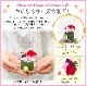 ����� �ץꥶ���֥ɥե� �� �ץ쥼��� ���ե� ������Υץ쥼��� ��������ե�