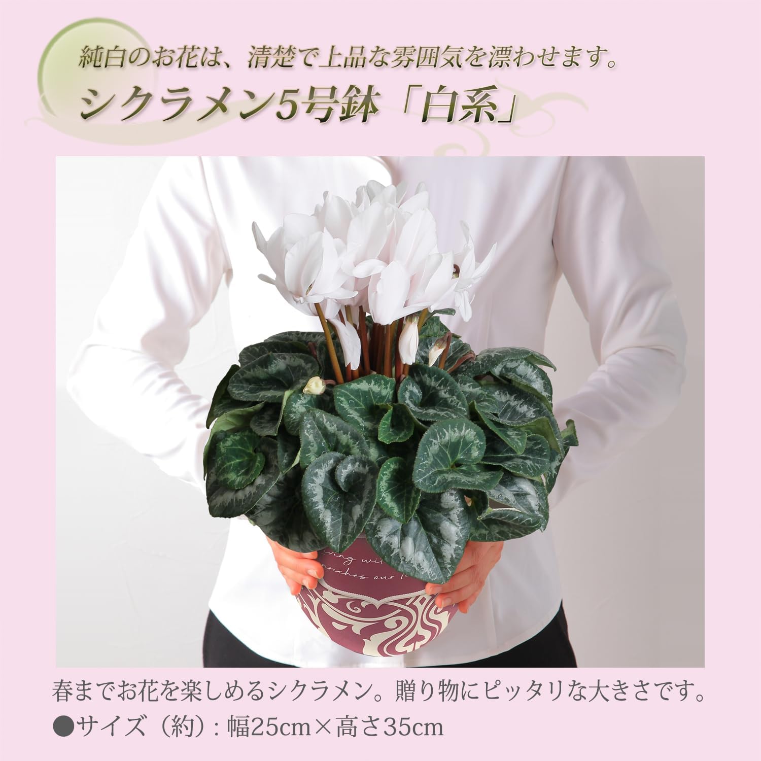 �������� ���ե� �ץ쥼��� �� ȭ���� ȭ�� ������ 5��ȭ �� ���� ������