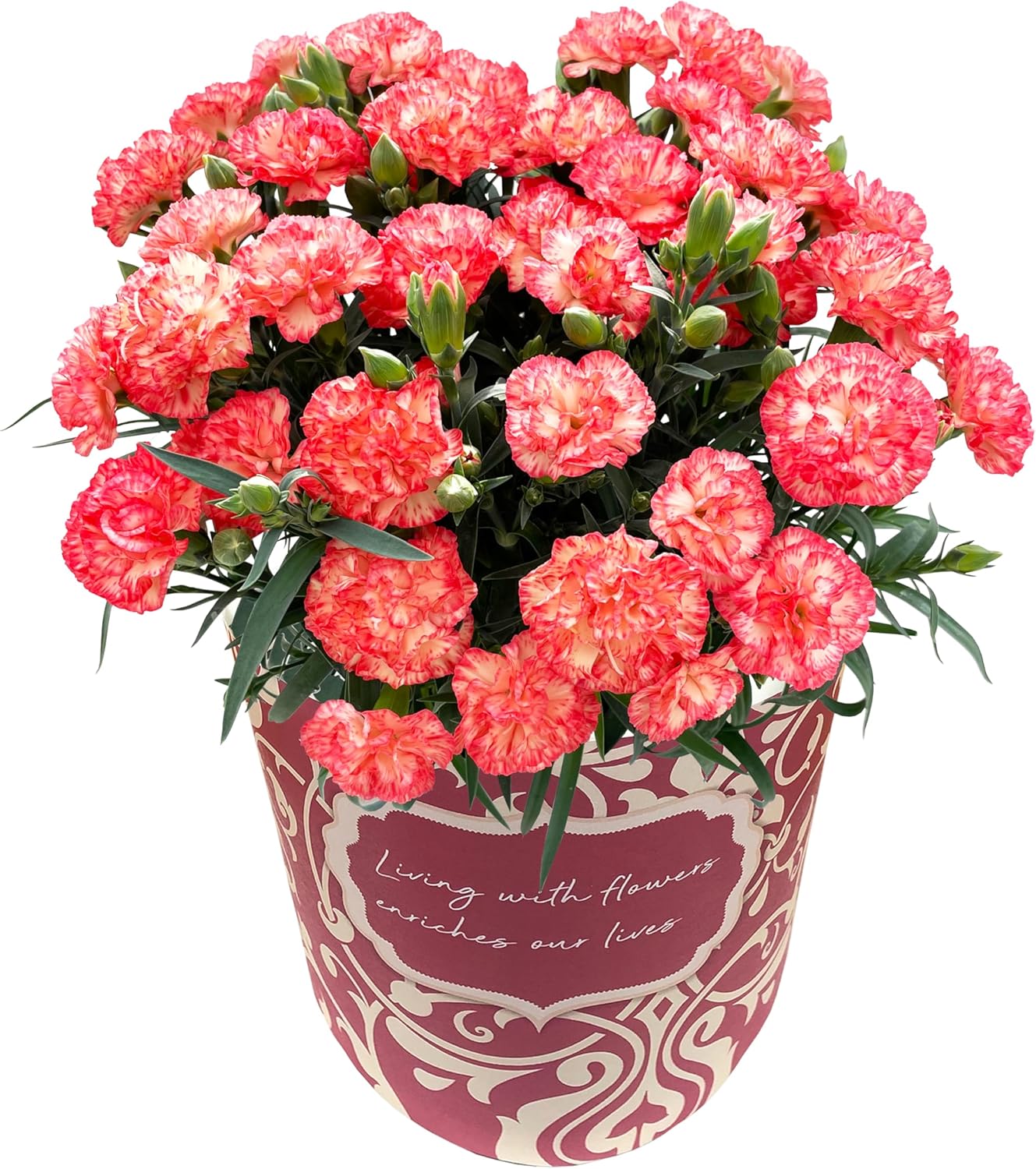 ����� �� �����͡������ ��������ե� ȭ���� �ץ쥼��� �ƥ����� 5��