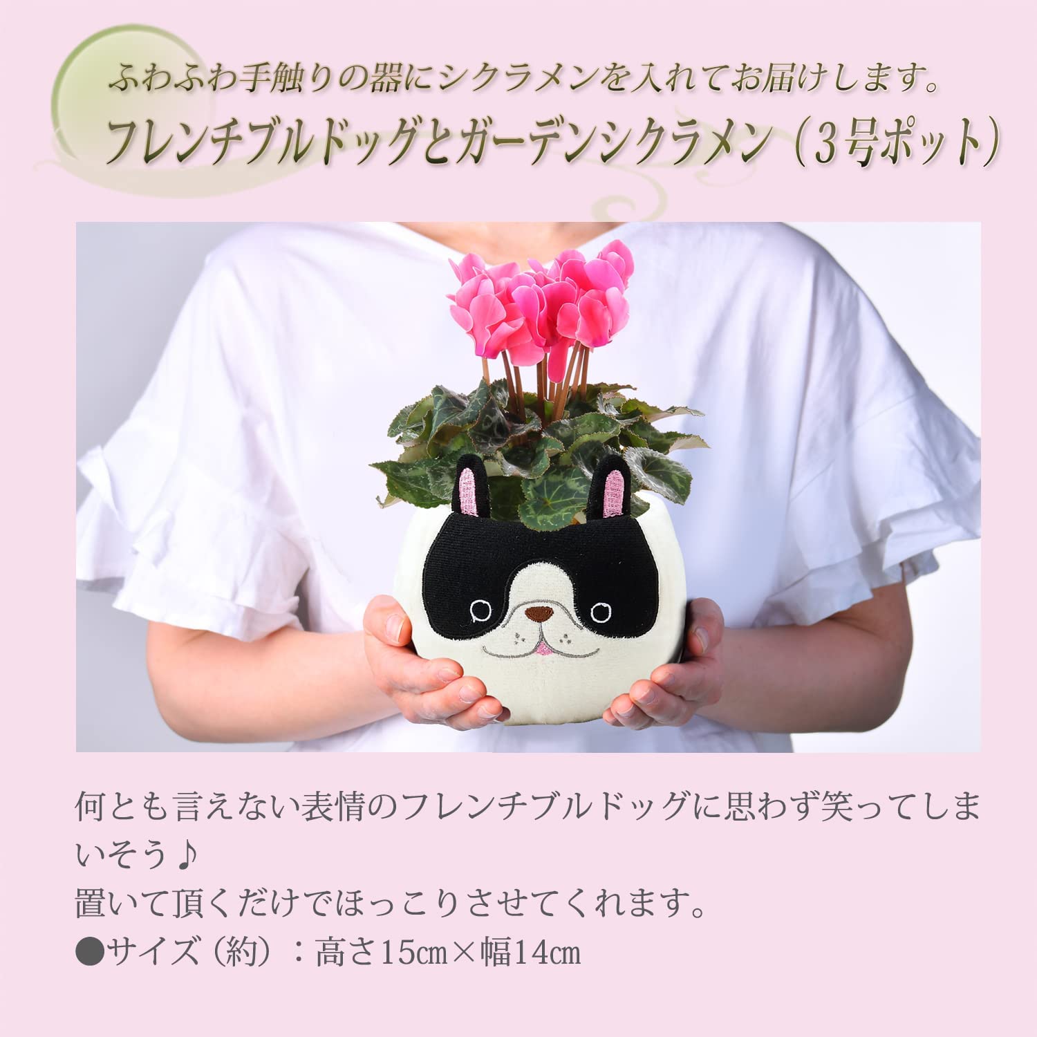 �������� ��������� �ץ쥼��� ���ե� �����ǥ󥷥����� �� ��������ȭ���� (�ե����֥�ɥå�)