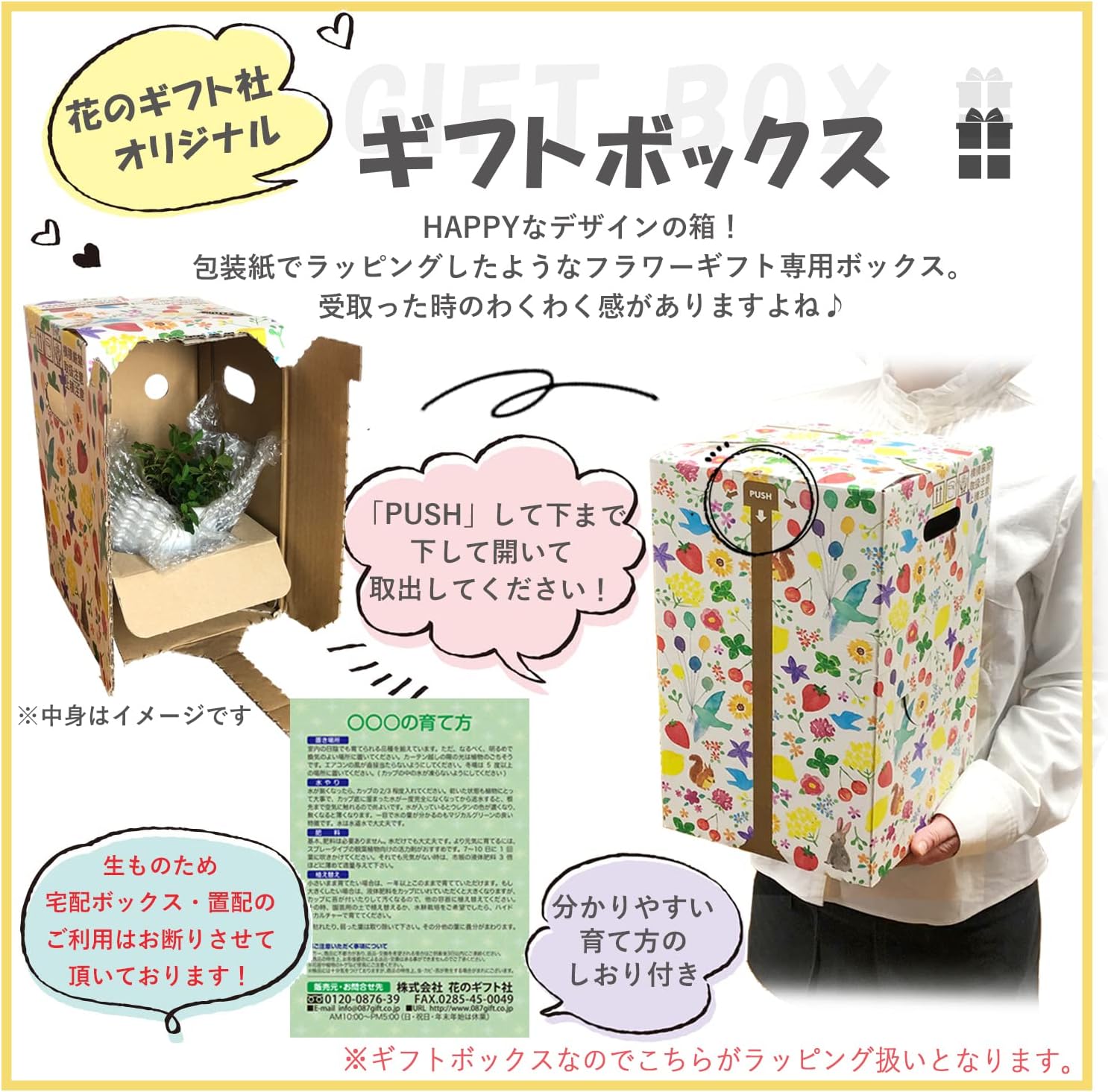 �������� ��������� �ץ쥼��� ���ե� �����ǥ󥷥����� �� ��������ȭ���� (�ե����֥�ɥå�)
