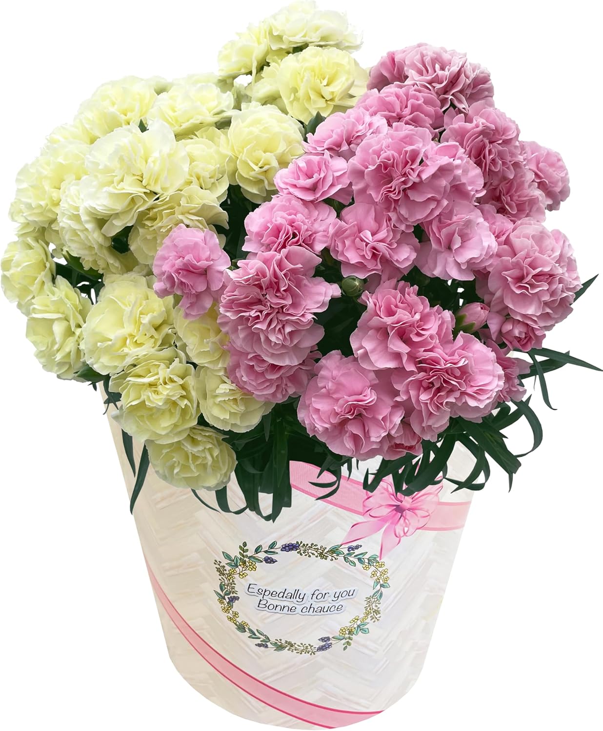 ����� �� �����͡������ ��������ե� ȭ���� �ץ쥼��� ���� 6��