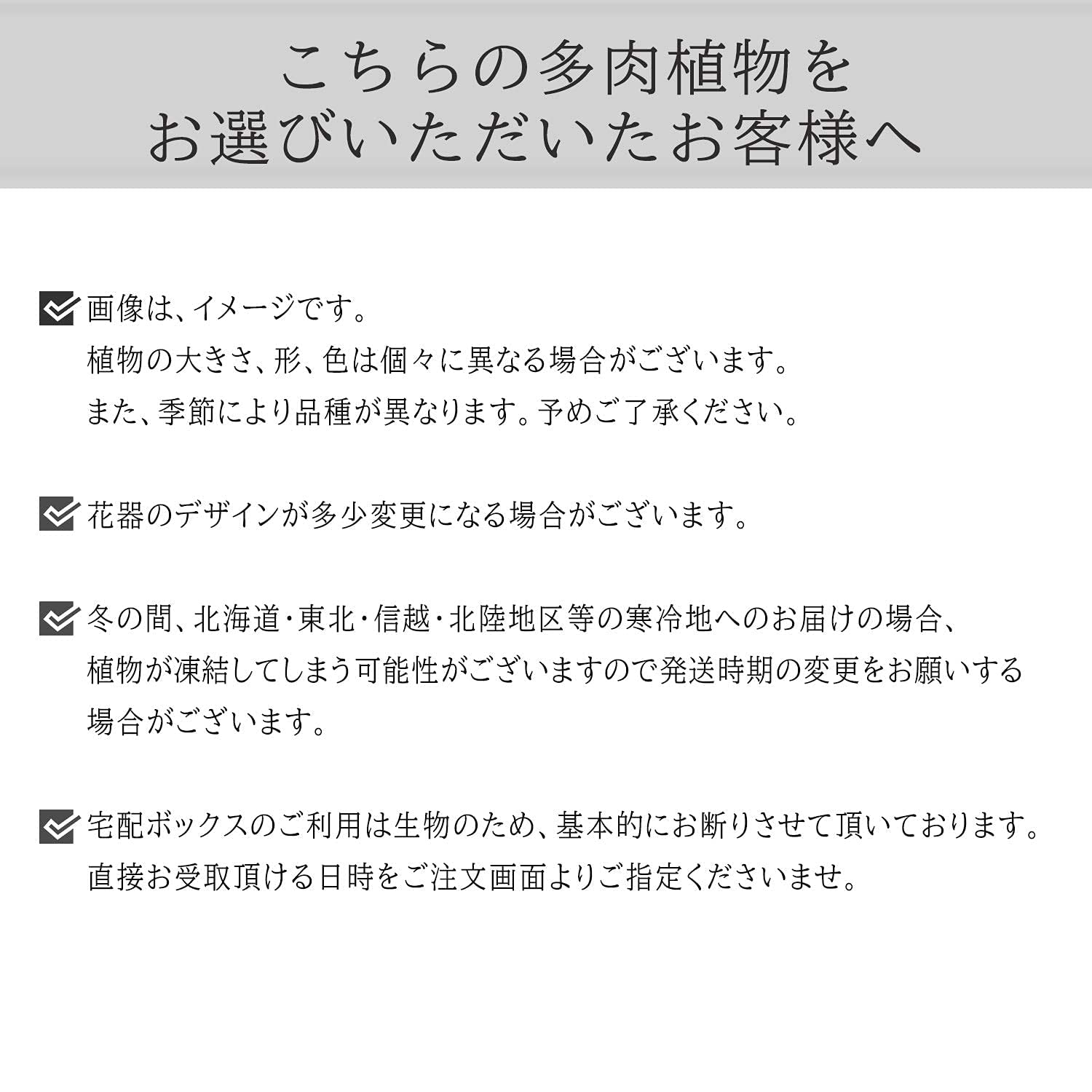 ������ ����� ¿����ʪ �����å� ����ƥꥢ�ߥ˴��տ�ʪ ������ȭ���� �ץ쥼���