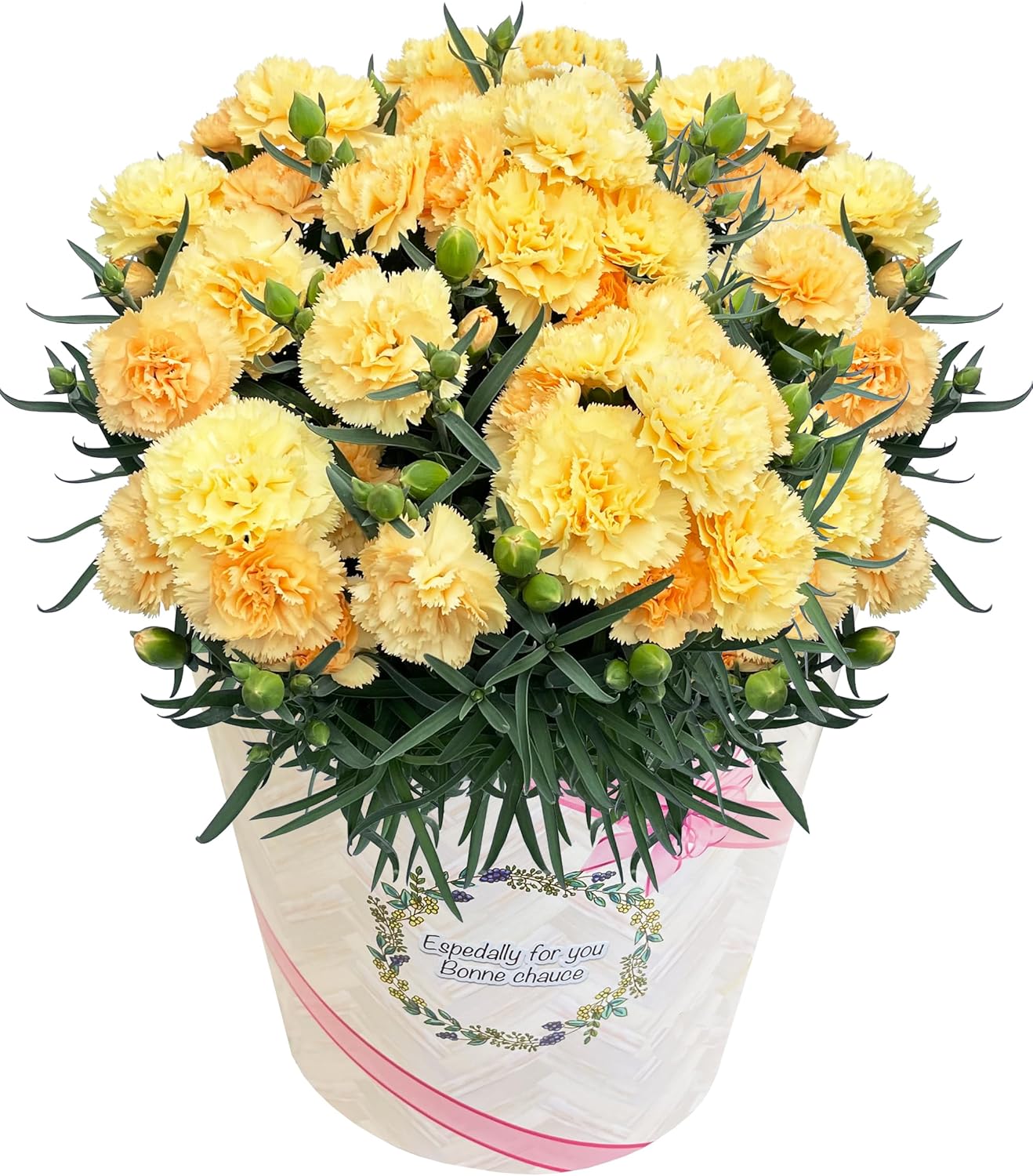 ����� �����͡������ ������ɥ����� ��ȭ ȭ���� �ץ쥼��� �� �ե����ե�