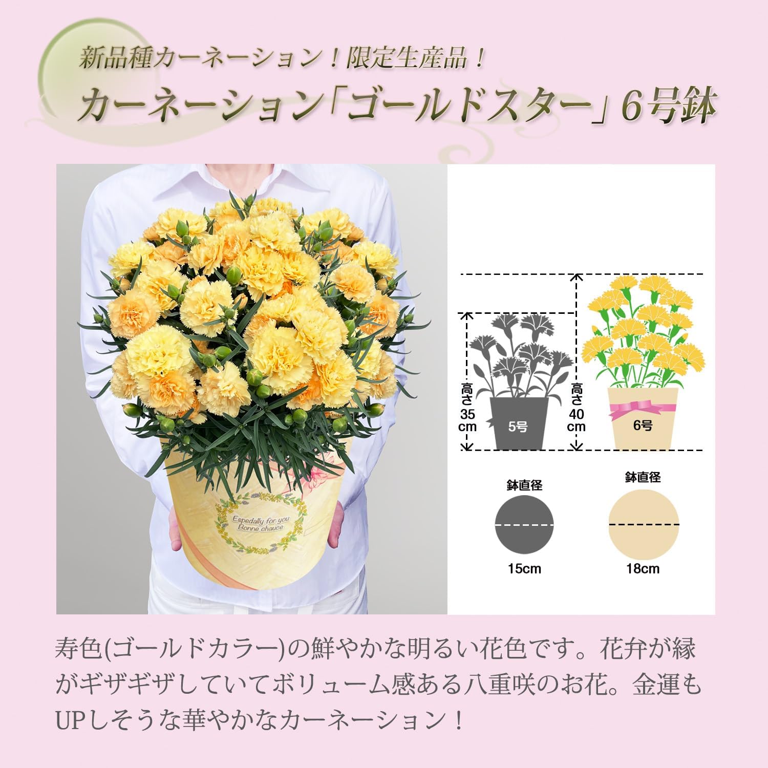 ����� �����͡������ ������ɥ����� ��ȭ ȭ���� �ץ쥼��� �� �ե����ե�