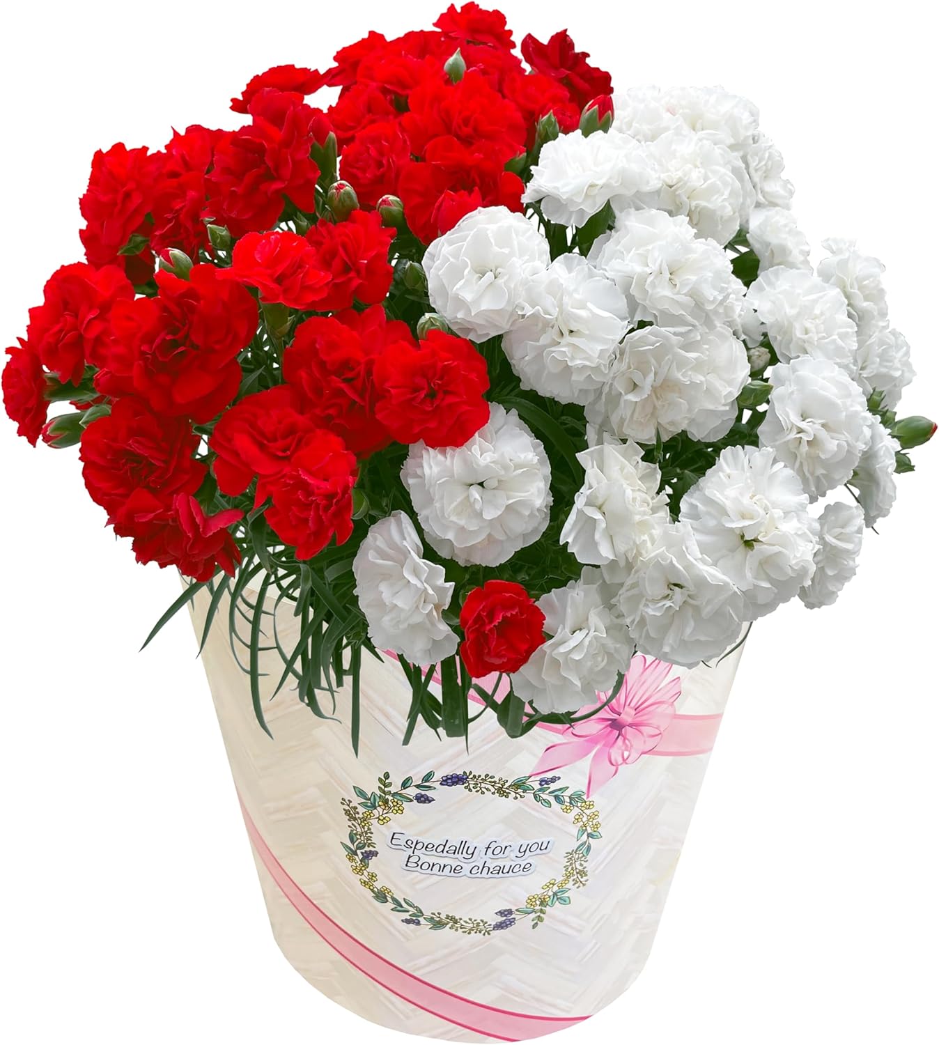 ����� �� �����͡������ ��������ե� ȭ���� �ץ쥼��� ���� 6��