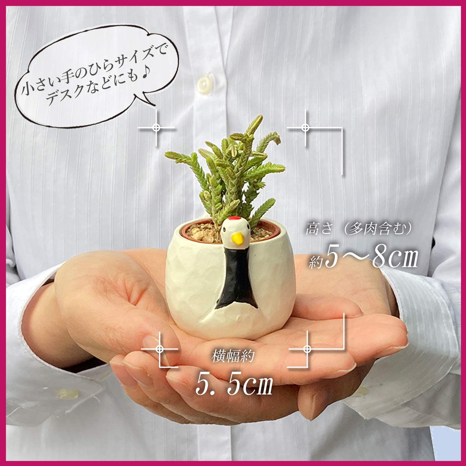 ¿�� ���˥ޥ� ���� ƫ��ȭ ưʪ ����ƥꥢ ���տ�ʪ ���ե� ������ ���å�