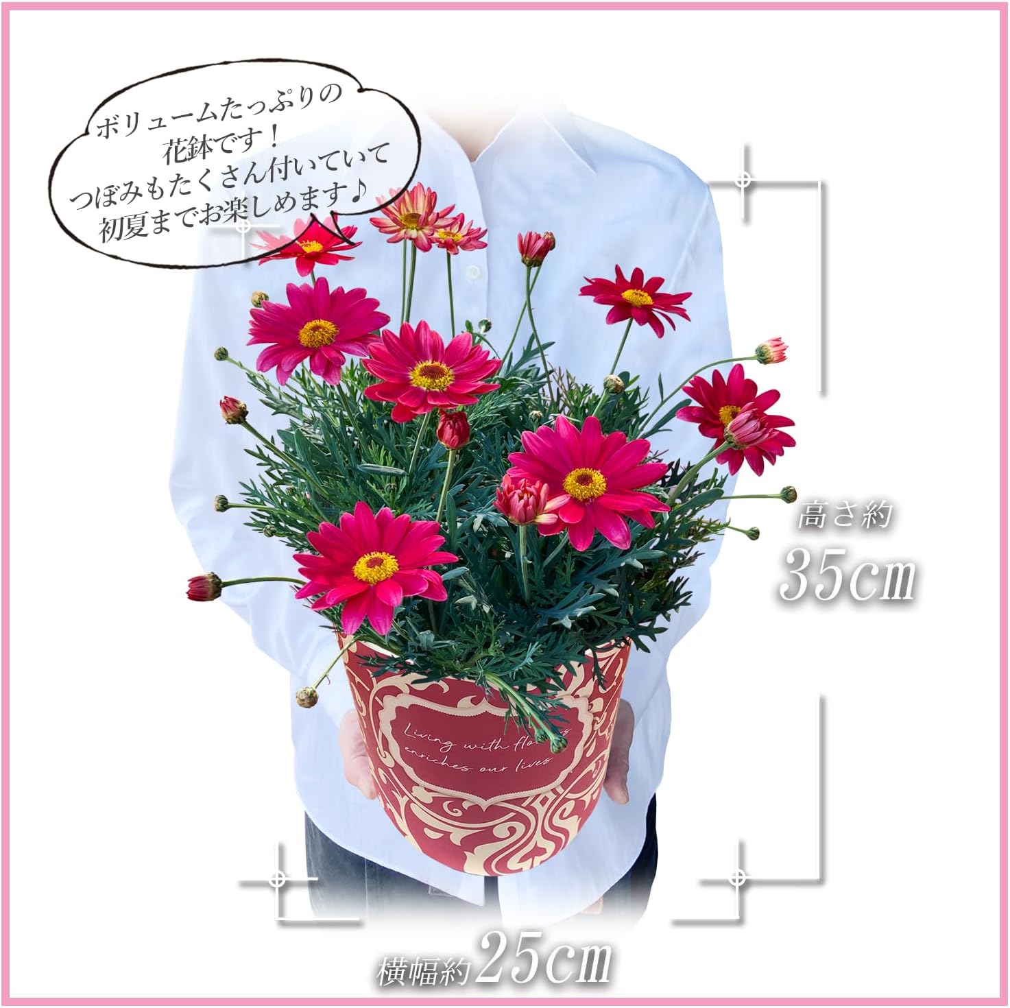 �ޡ�����åȤβ� ȭ�� ��ȭ �ޡ�����å�ȭ���� ���ե� ���ˤ� �ԥ� �ץ쥼���