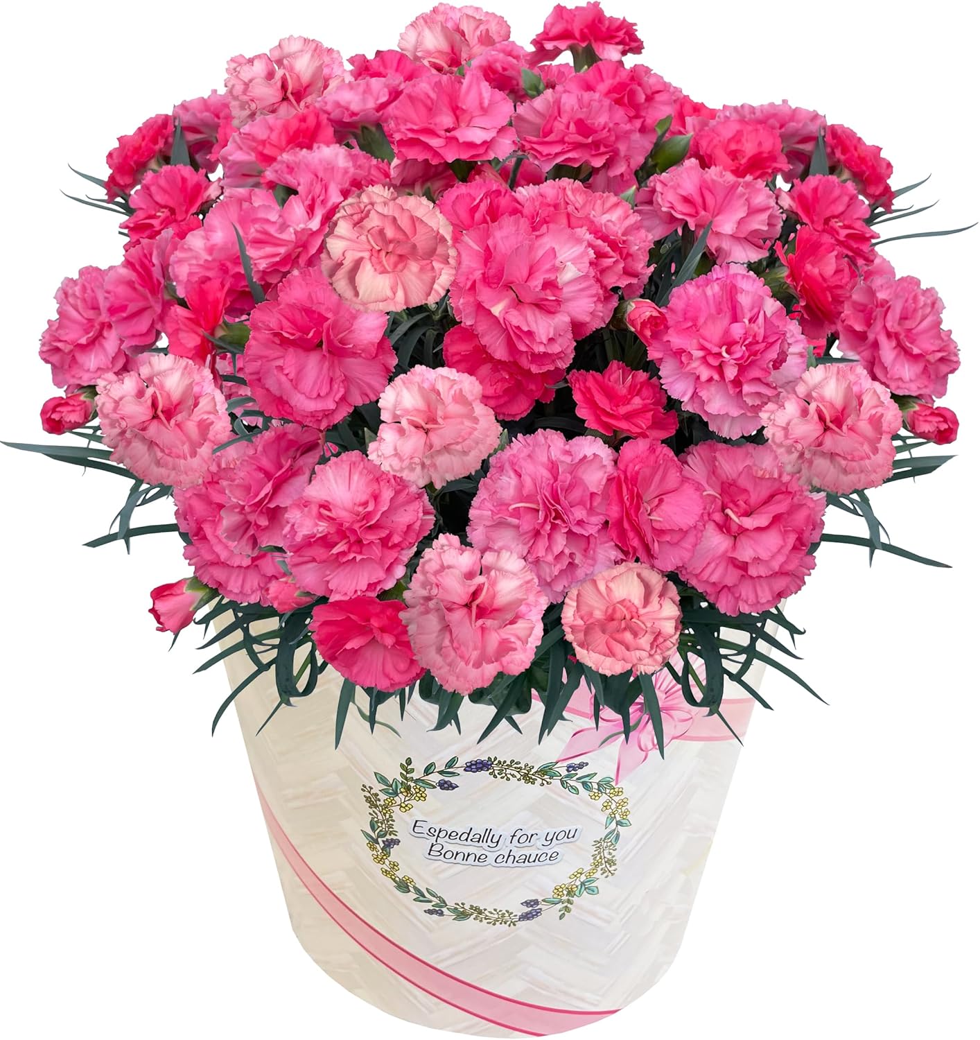 ����� �����͡������ �������ʤ� ȭ�� ȭ���� �ץ쥼��� �� �ե����ե�