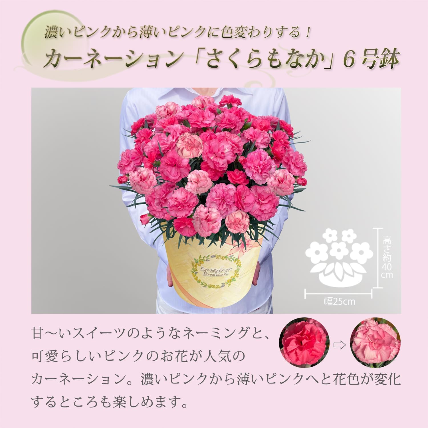 ����� �����͡������ �������ʤ� ȭ�� ȭ���� �ץ쥼��� �� �ե����ե�