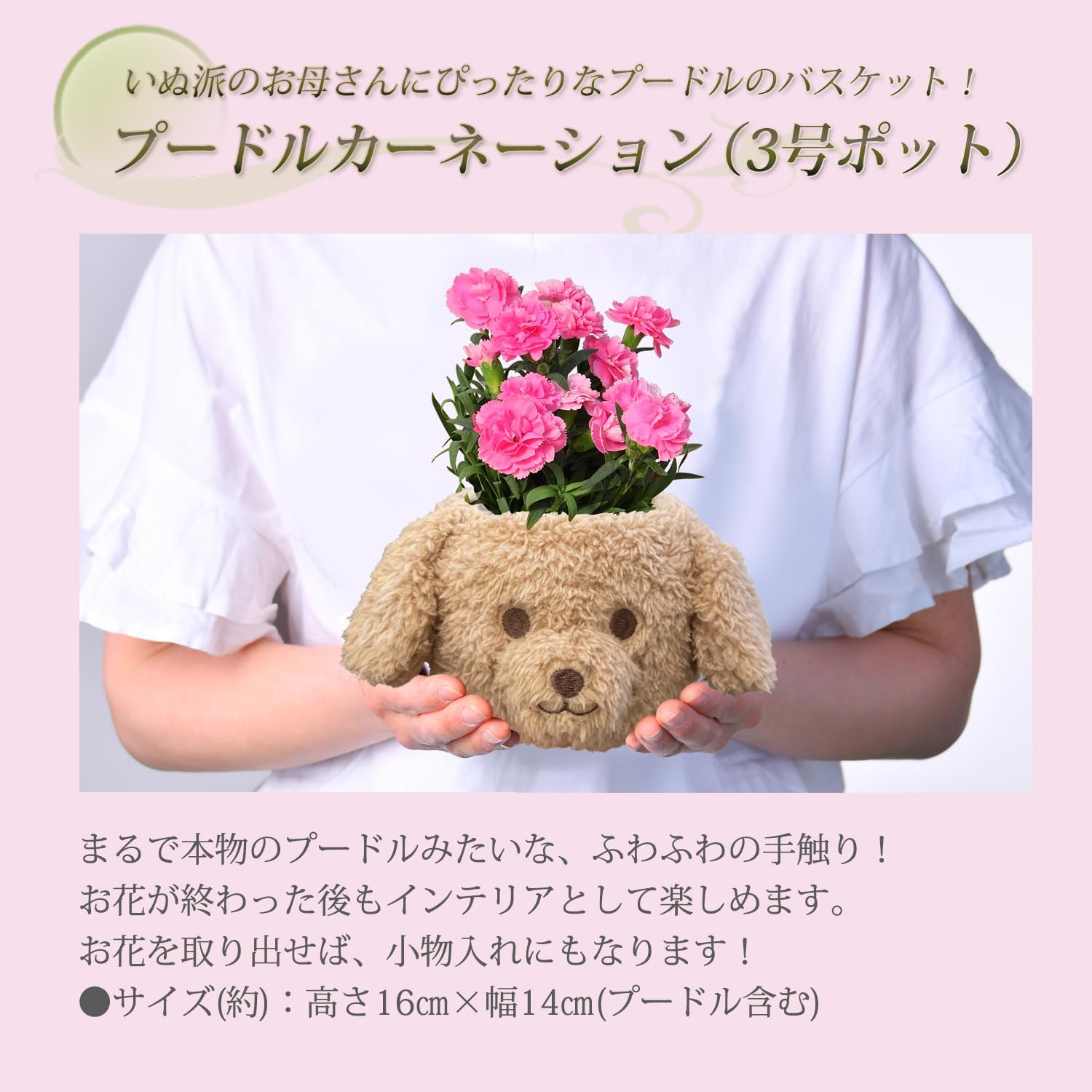 ����� �ץ쥼��� �� ȭ �ե����ե� �ס��ɥ� ���̹��� �� ��ȭ ȭ����