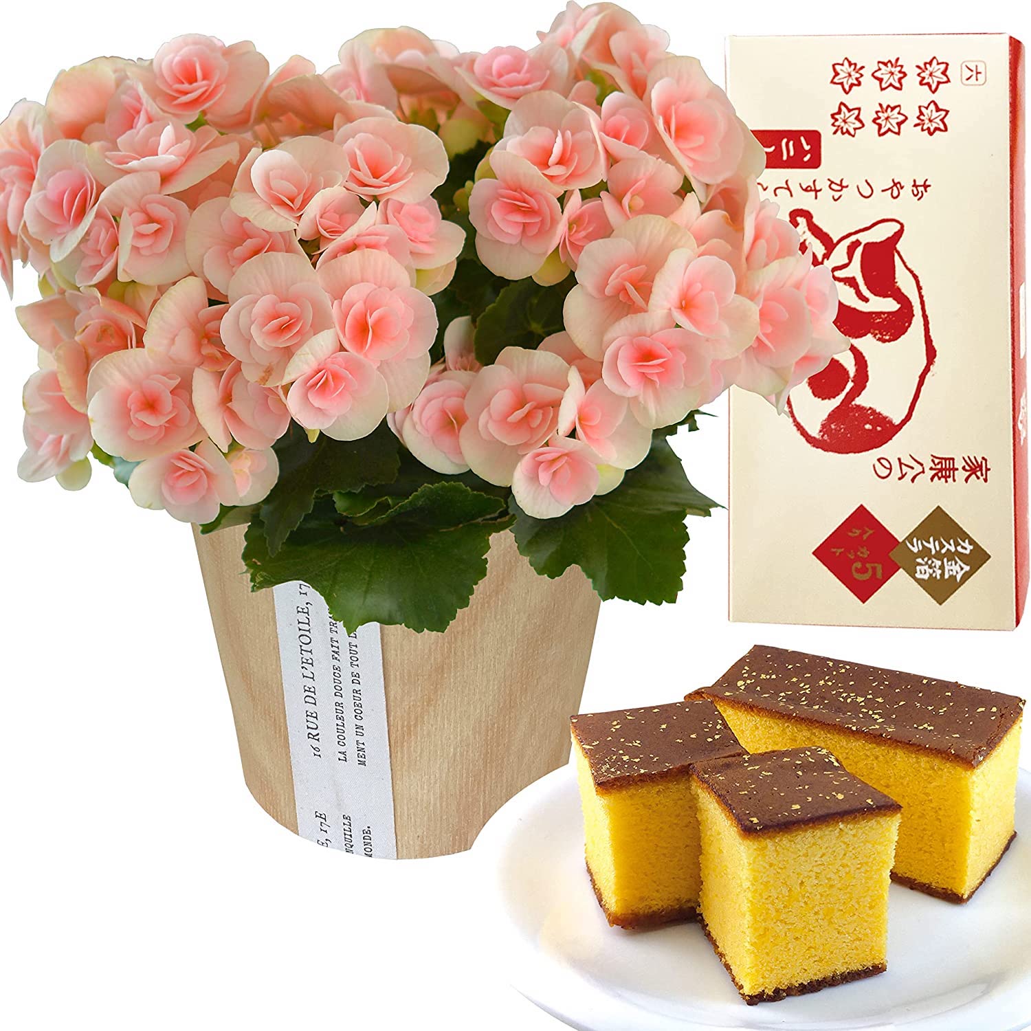 �꡼������ �٥��˥� �� ���ե� ������ �ץ쥼��� �꡼�������٥��˥� ȭ����