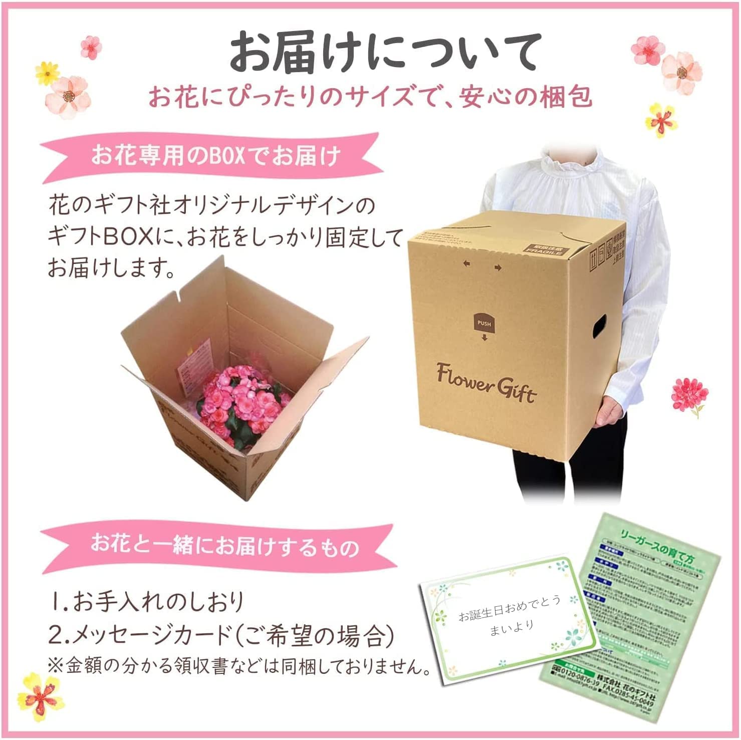 �꡼������ �٥��˥� �� ���ե� ������ �ץ쥼��� �꡼�������٥��˥� ȭ����