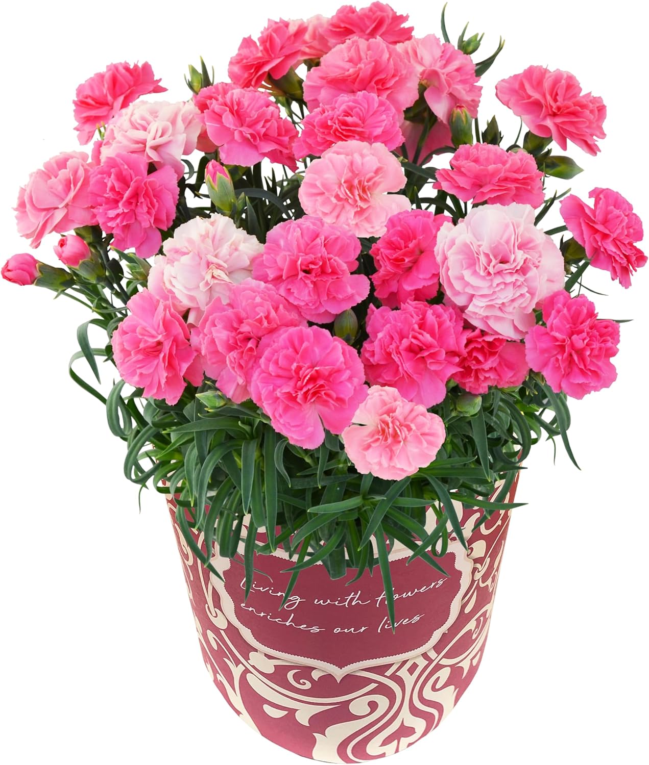 ����� �� �����͡������ ��������ե� ȭ���� �ץ쥼��� �Ҥʤ���� 5��