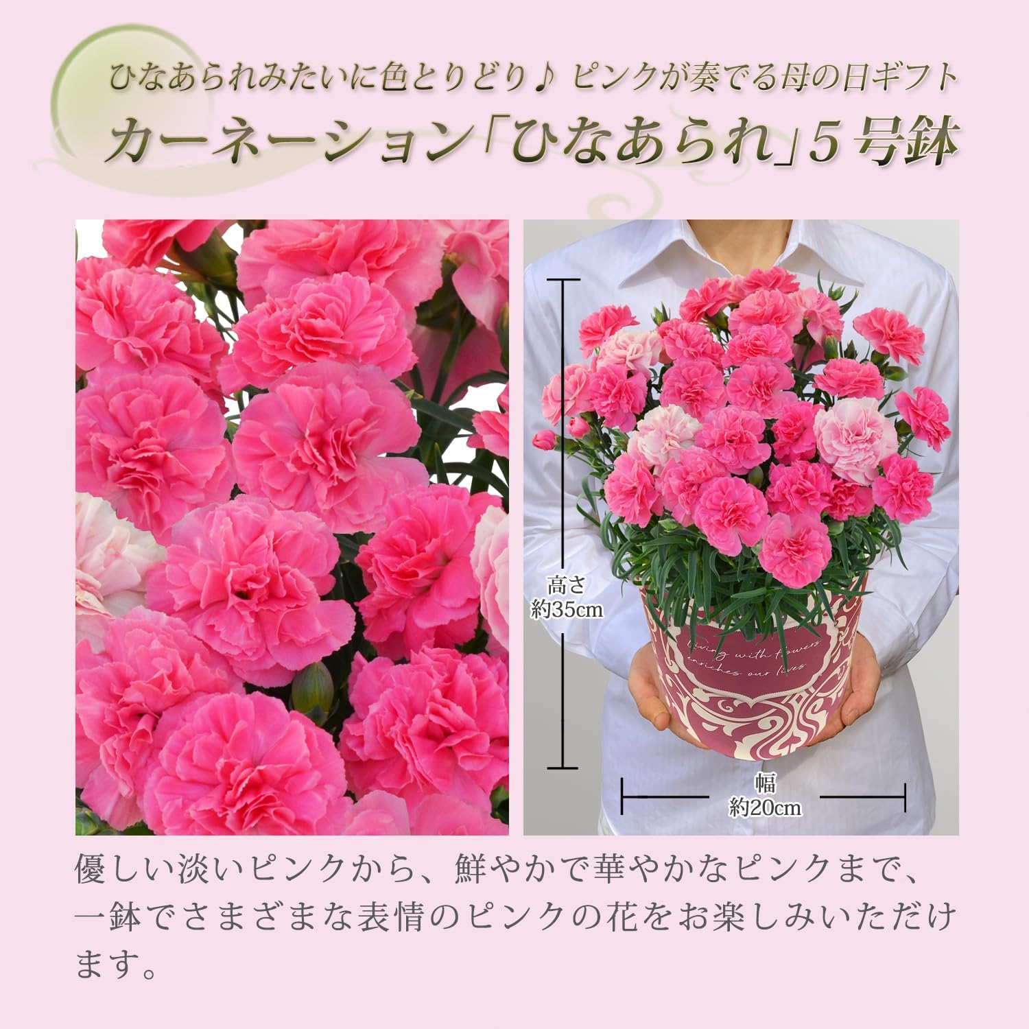 ����� �� �����͡������ ��������ե� ȭ���� �ץ쥼��� �Ҥʤ���� 5��