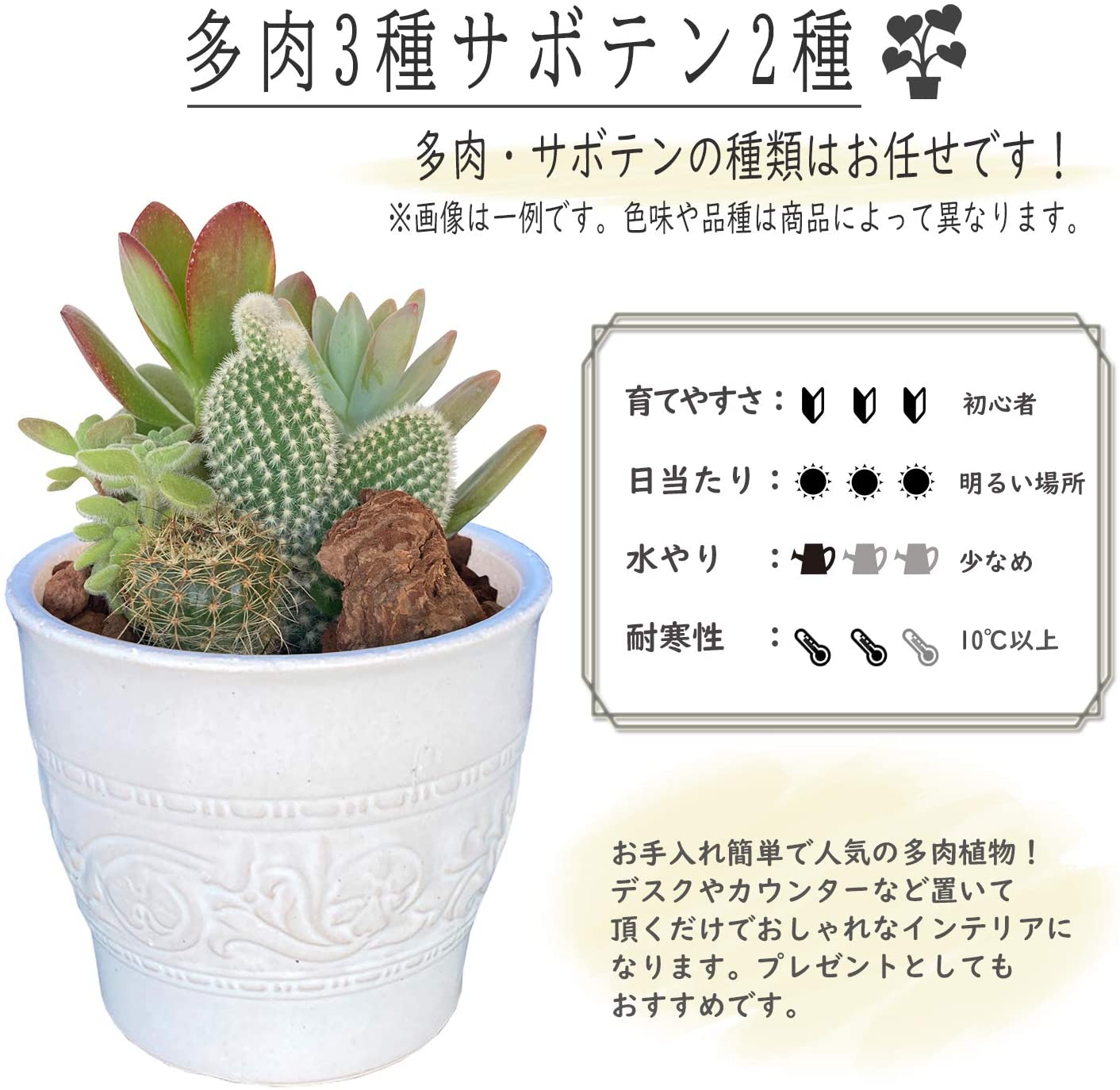 ¿�� �󤻿��� ������ ƫ��ȭ �� ����ƥꥢ ȭ���� ���տ�ʪ ���ե� �ץ쥼���