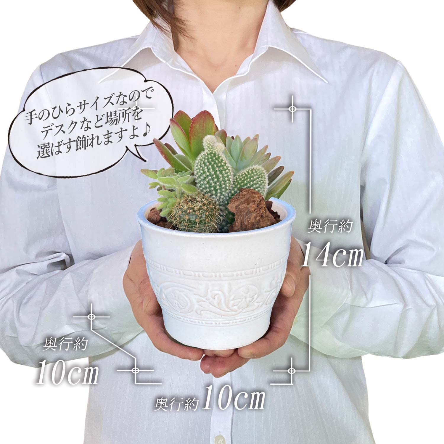 ¿�� �󤻿��� ������ ƫ��ȭ �� ����ƥꥢ ȭ���� ���տ�ʪ ���ե� �ץ쥼���