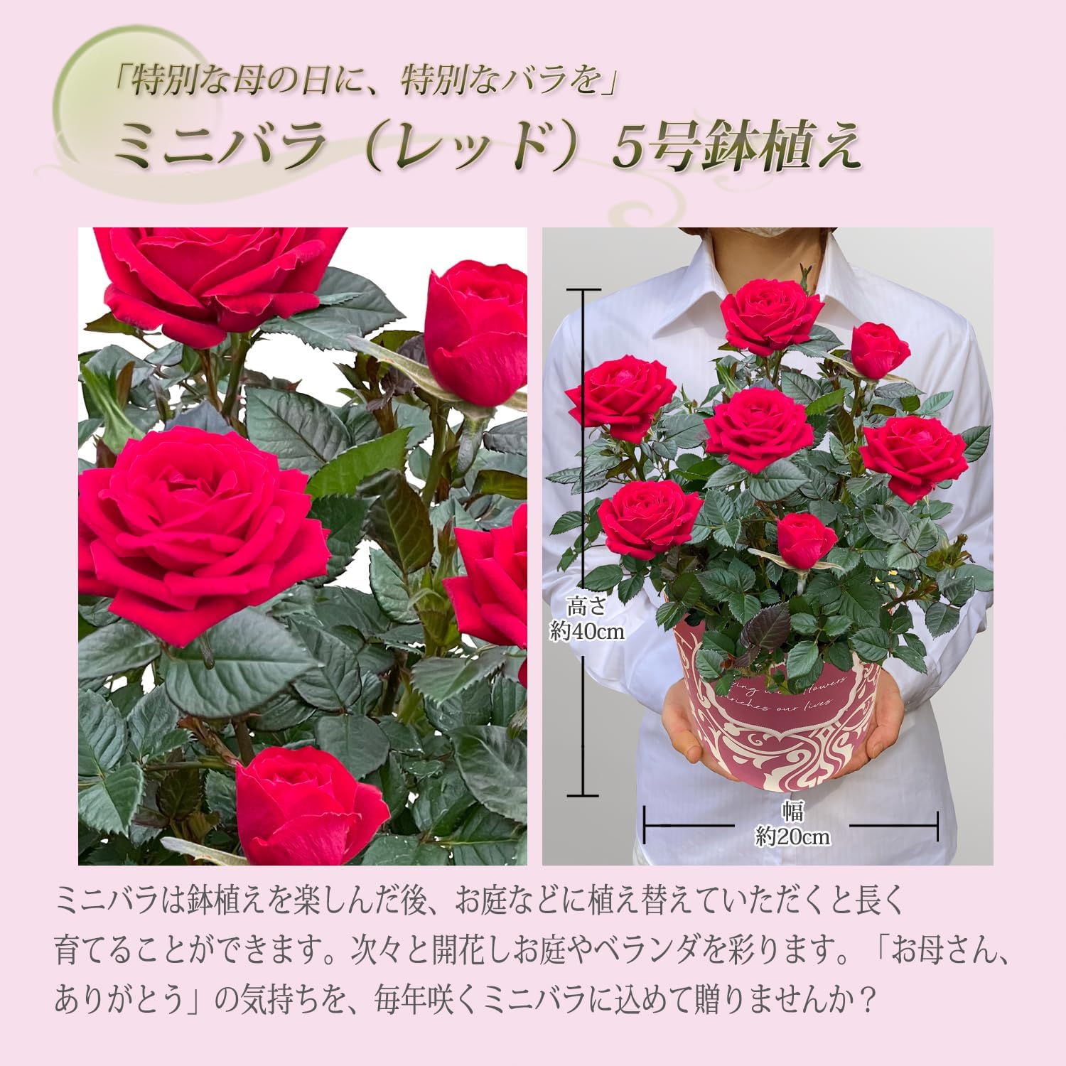 ����� ���� ���ե� ��������ե� �ץ쥼��� �Х� ��ȭ �ߥ˥Х� ������ 5��ȭ