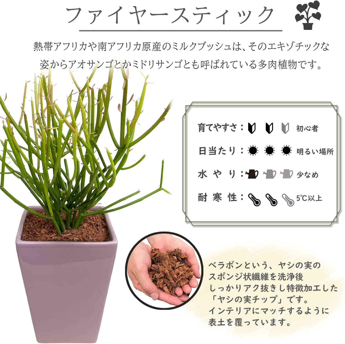 �ߥ륯�֥å��� ȭ���� ���տ�ʪ �ߥ˴��տ�ʪ ���� �ե����䡼���ƥ��å� ¿�� ���ե�