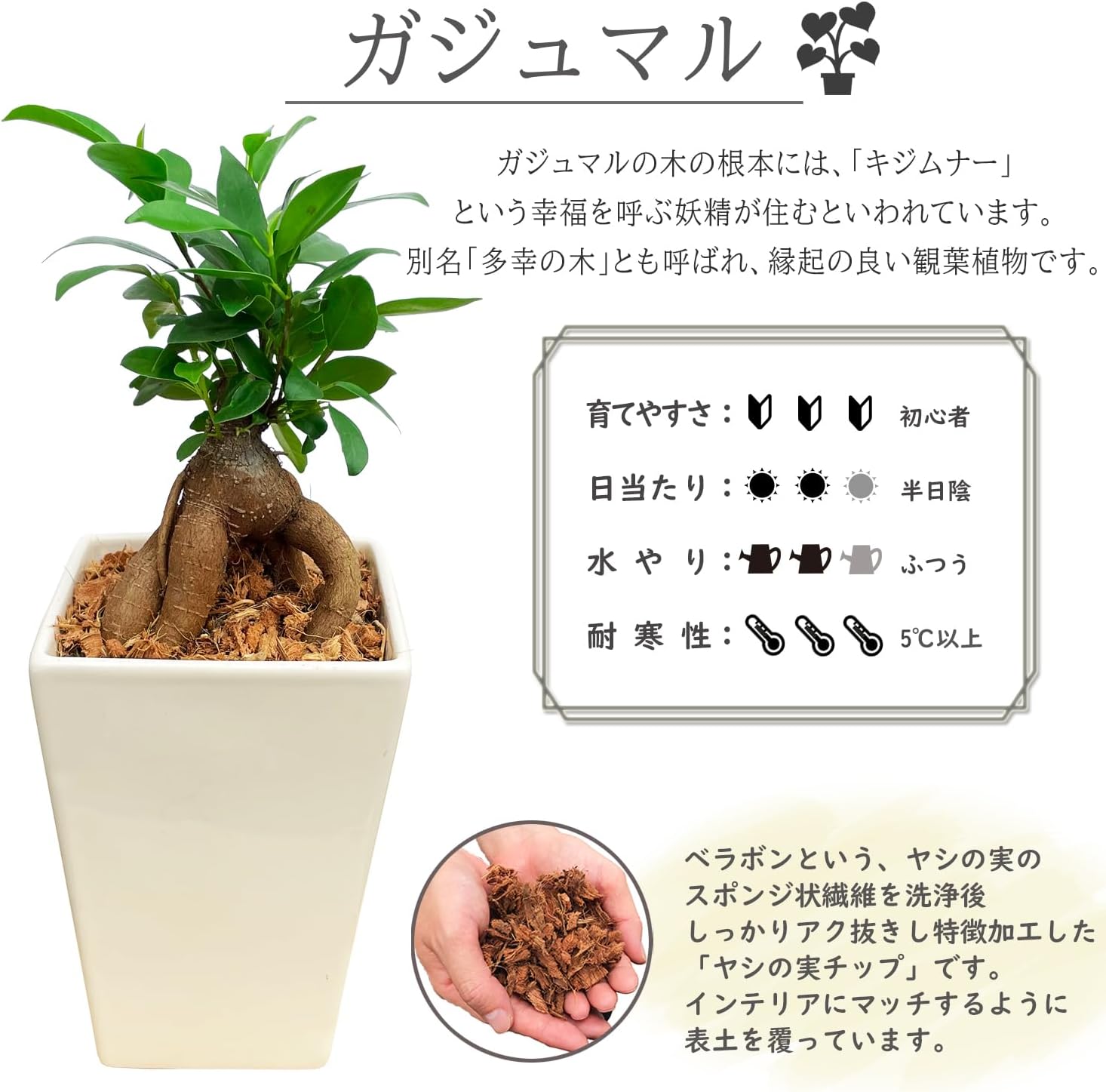 ������ޥ���� ������ޥ�ȭ���� ¿������ ������ޥ� ������ޤ� ���� �ߥ˴��տ�ʪ