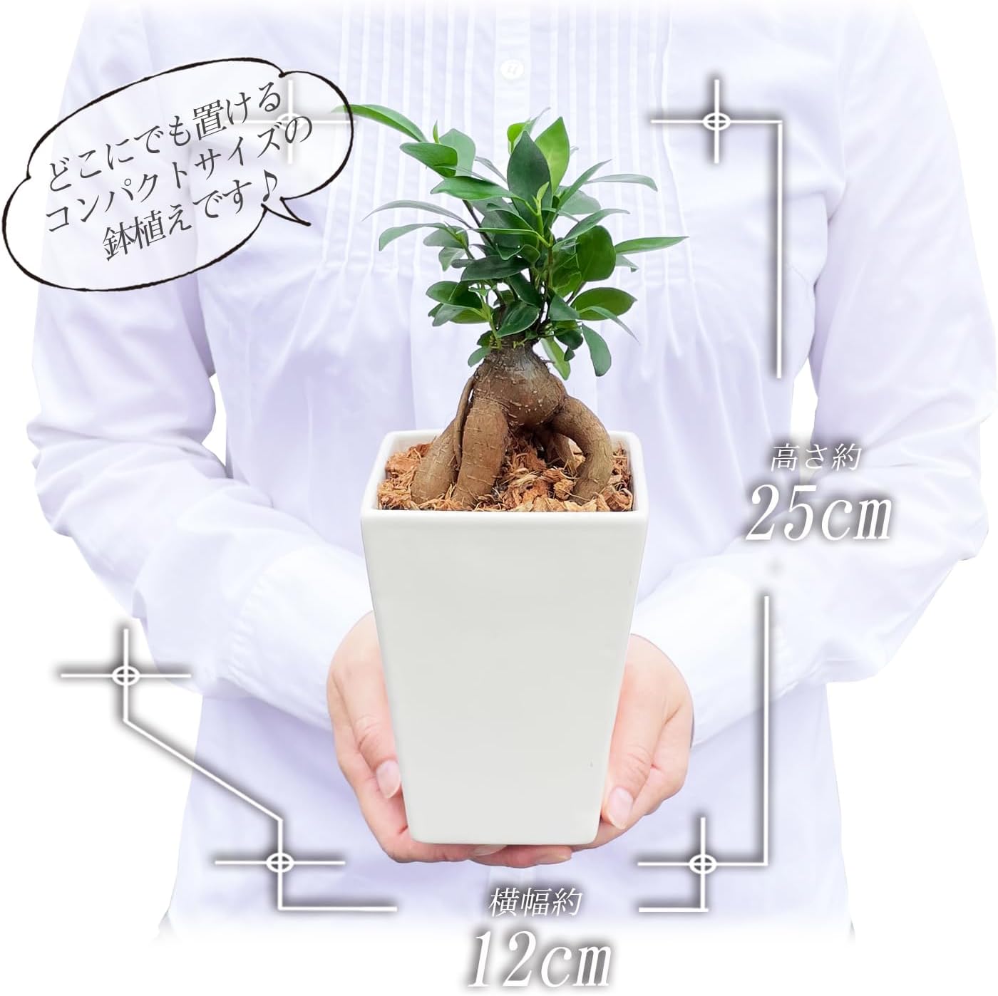 ������ޥ���� ������ޥ�ȭ���� ¿������ ������ޥ� ������ޤ� ���� �ߥ˴��տ�ʪ