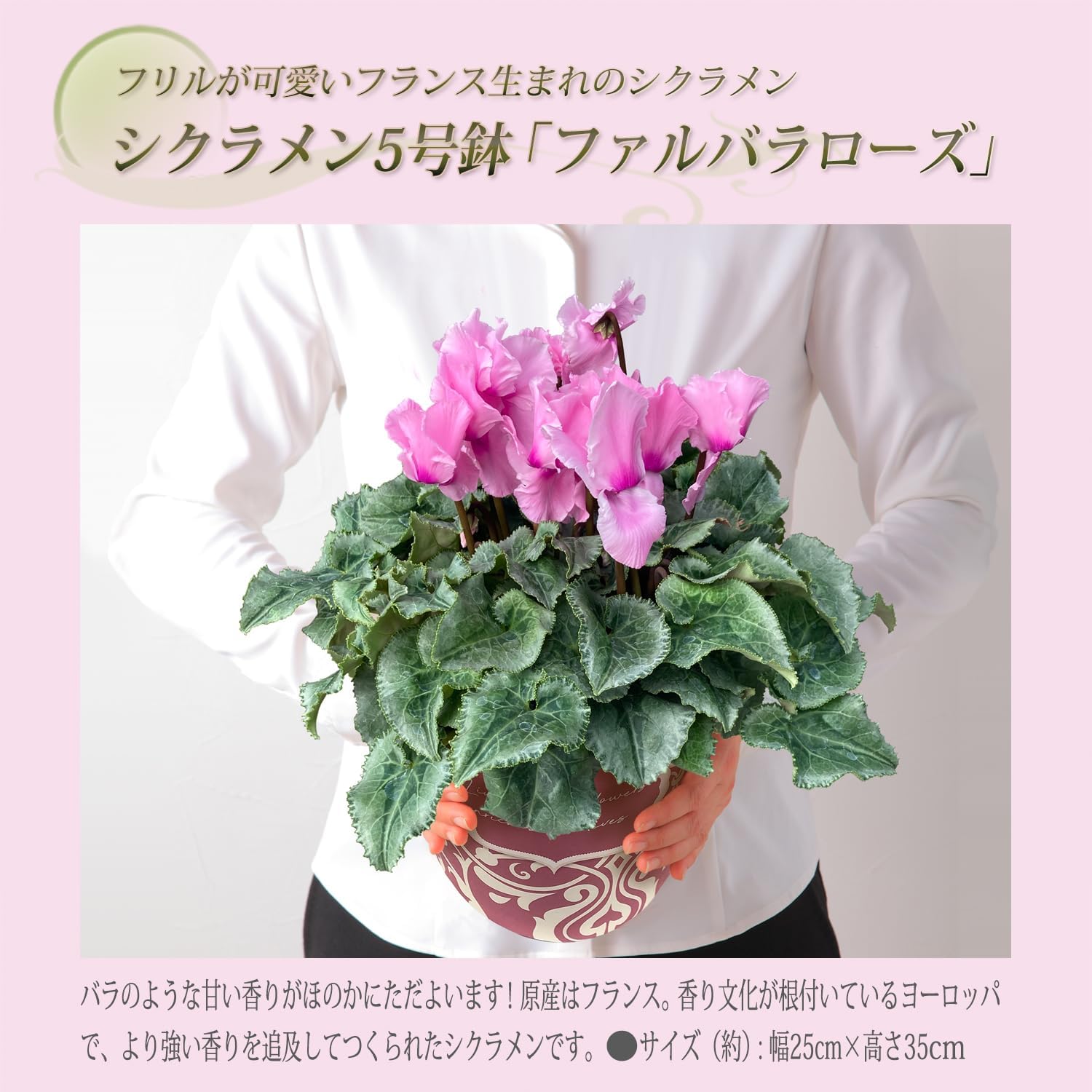 �������� ���ե� �ץ쥼��� �� ȭ���� ȭ�� ������ 5��ȭ �ե���Х������
