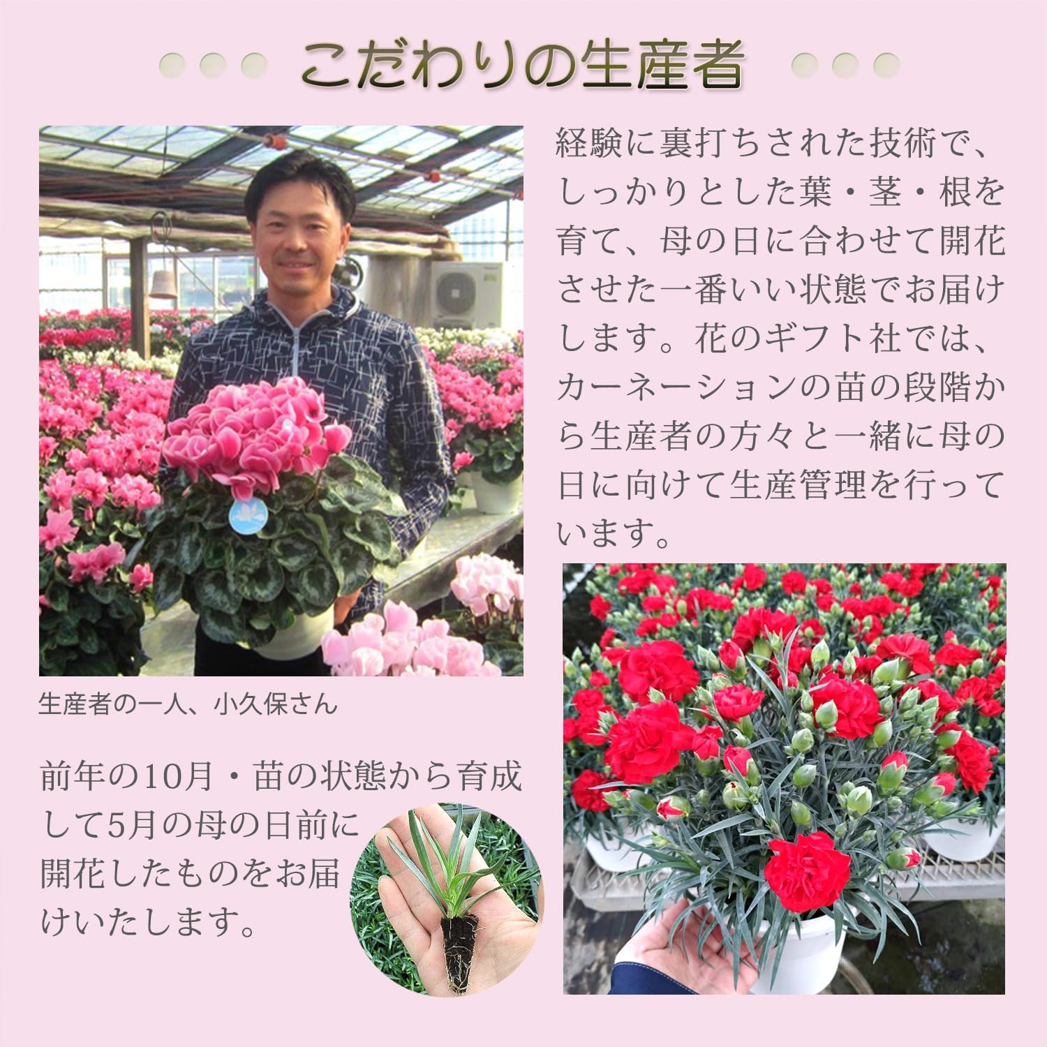 ����� �� ȭ���� �����͡������ �ץ쥼��� ��ȭ ��������ե� ������Υץ쥼���