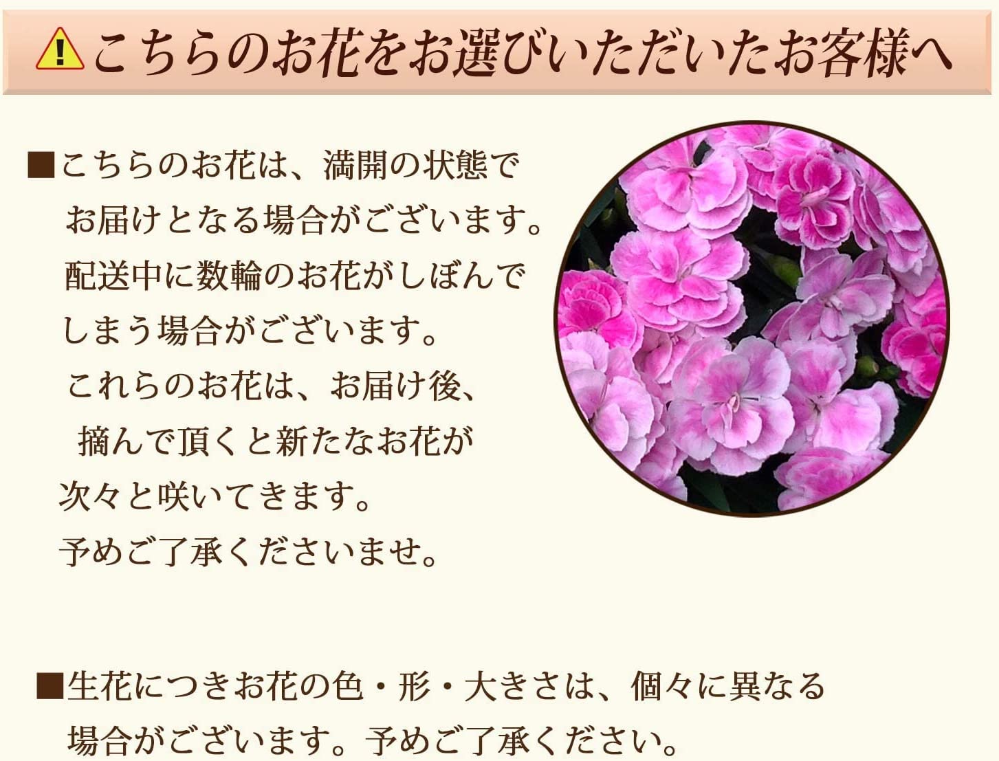 ����� �� ȭ���� �����͡������ �ץ쥼��� ��ȭ ��������ե� ������Υץ쥼���