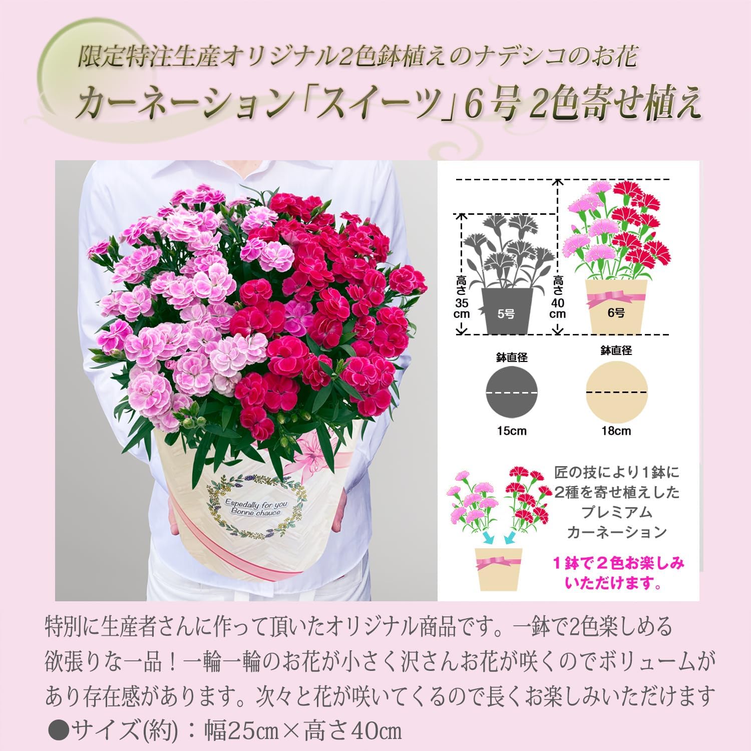 ����� �� ȭ���� �����͡������ �ץ쥼��� ��ȭ ��������ե� ������Υץ쥼���