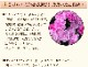 ����� �� ȭ���� �����͡������ �ץ쥼��� ��ȭ ��������ե� ������Υץ쥼���