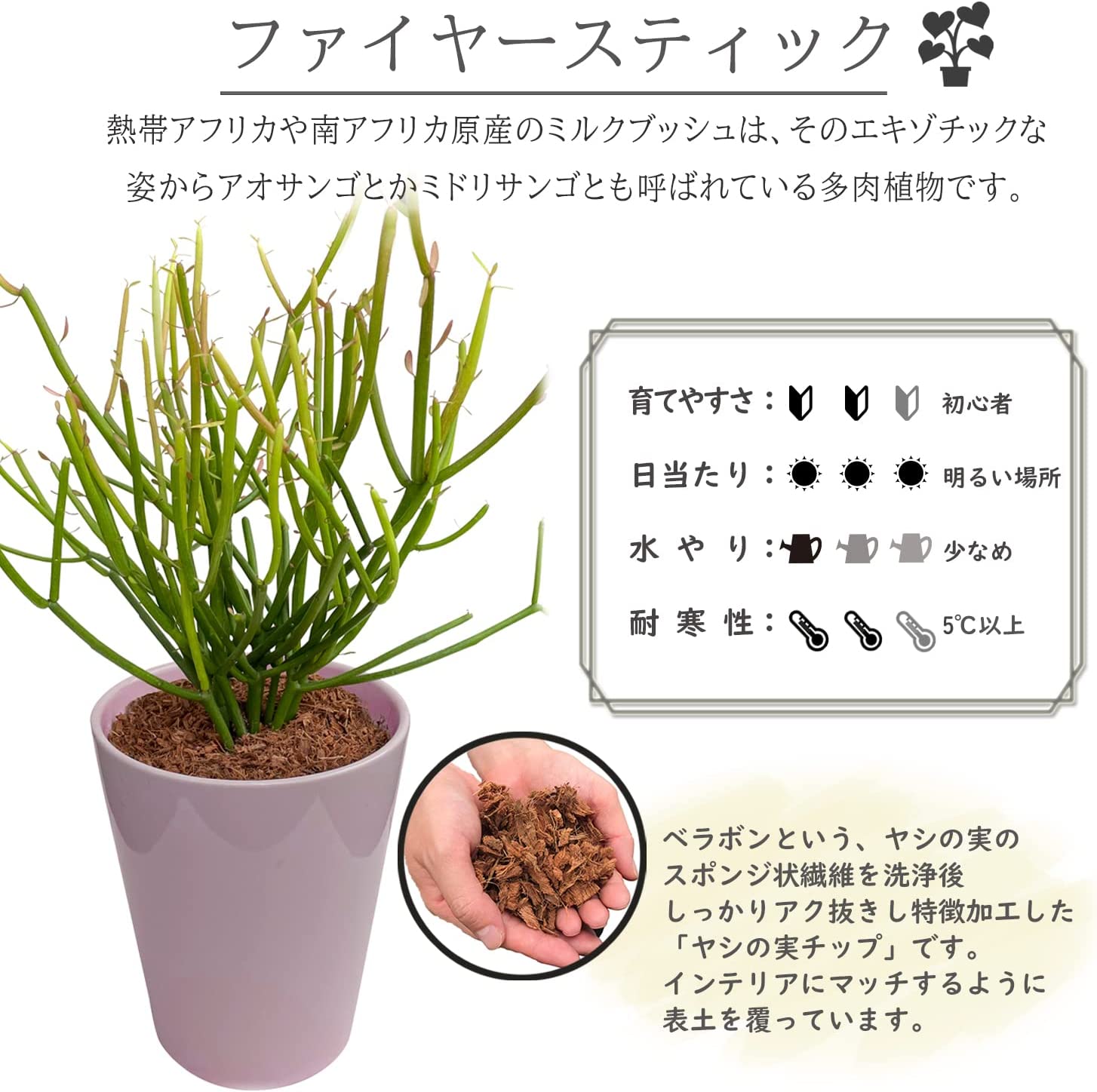 �ߥ륯�֥å��� ȭ���� ���տ�ʪ �ߥ˴��տ�ʪ ���� �ե����䡼���ƥ��å� ¿�� ���ե�