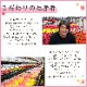 �꡼������ �٥��˥� �� ���ե� ������ �ץ쥼��� �꡼�������٥��˥� ȭ���� ��ȭ