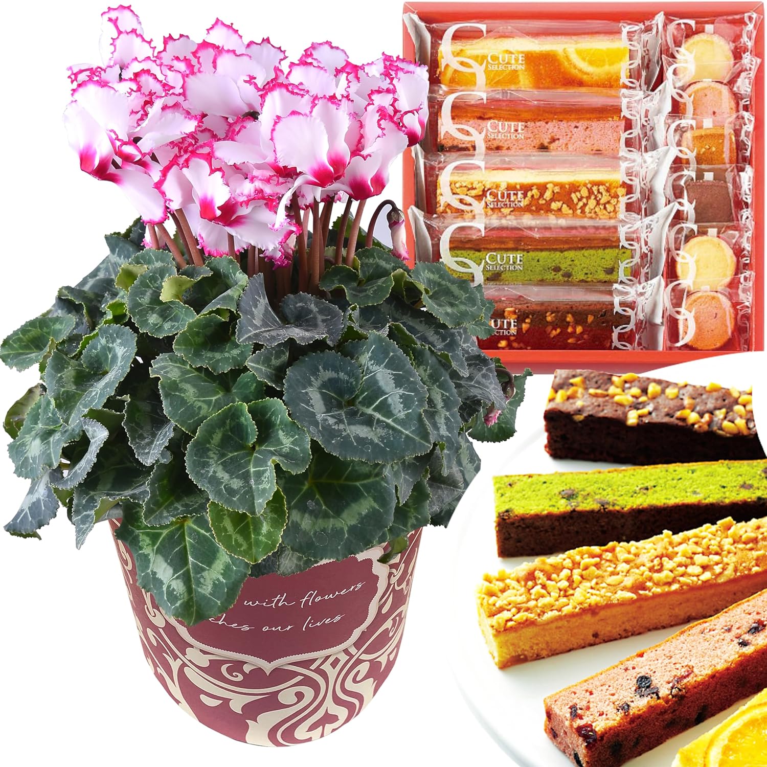 �������� ���ե� �ץ쥼��� �� ȭ���� ȭ�� ������ 5��ȭ �� �ӥ��ȥꥢ ����