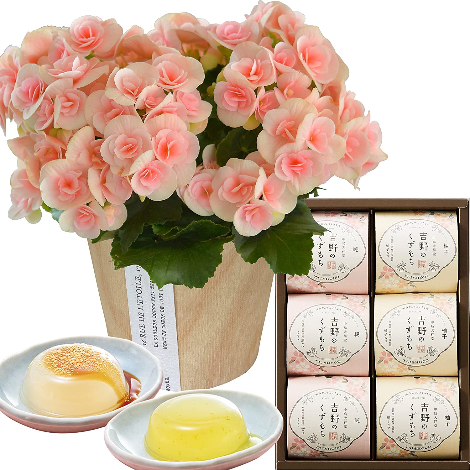 �꡼������ �٥��˥� �� ���ե� ������ �ץ쥼��� �꡼�������٥��˥� ȭ���� ��ȭ