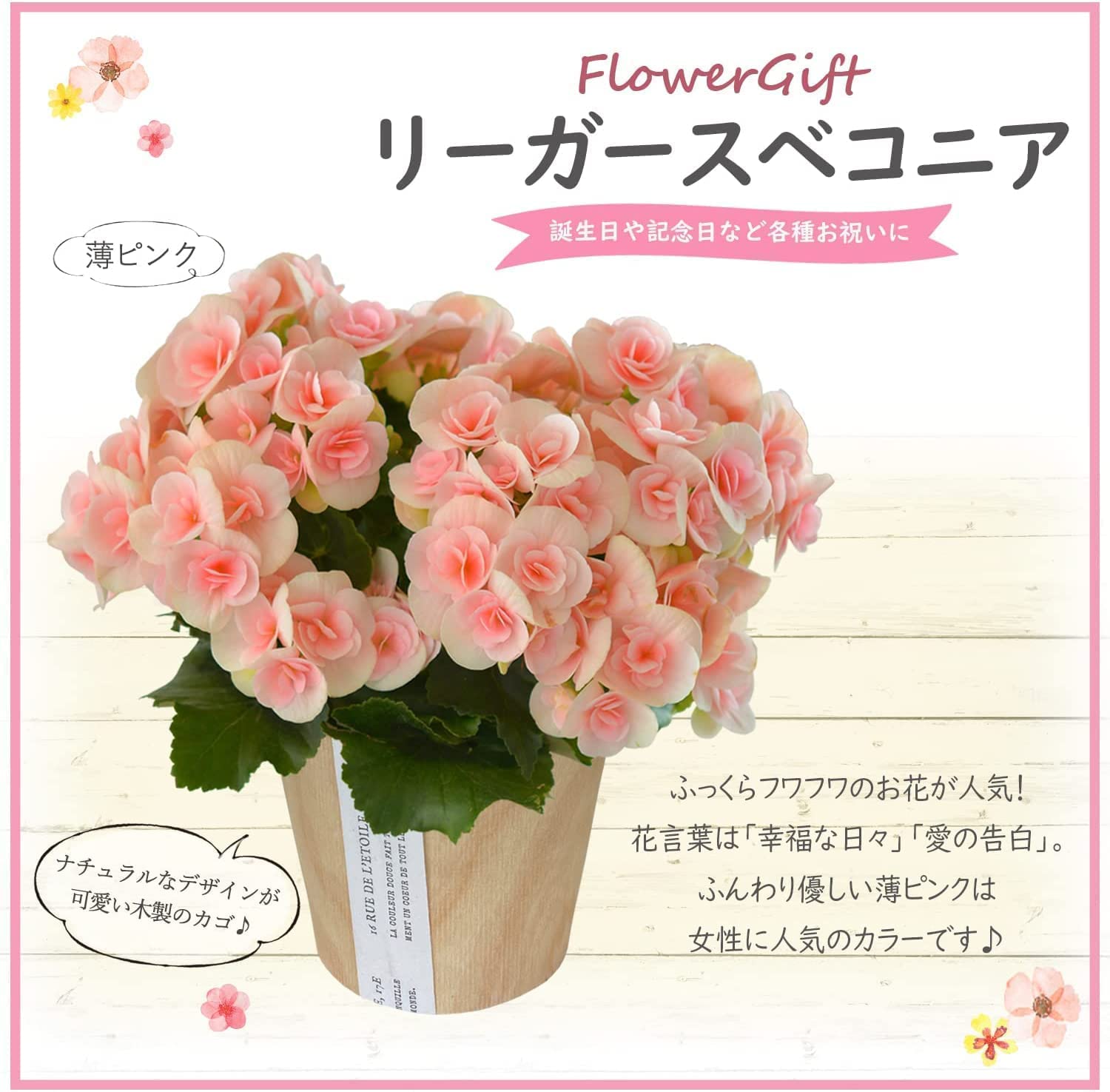 �꡼������ �٥��˥� �� ���ե� ������ �ץ쥼��� �꡼�������٥��˥� ȭ���� ��ȭ