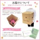 �꡼������ �٥��˥� �� ���ե� ������ �ץ쥼��� �꡼�������٥��˥� ȭ���� ��ȭ