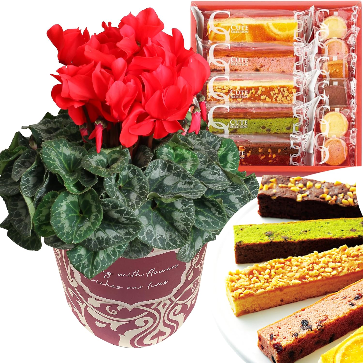 �������� ���ե� �ץ쥼��� �� ȭ���� ȭ�� ������ 5��ȭ �� ���� ������