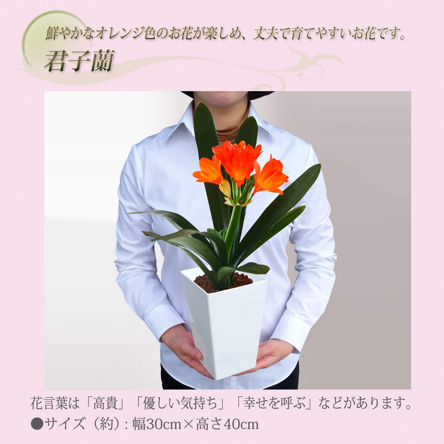 ������ ȭ���� �ե����ե� �� �ץ쥼��� �ߥ��ե� ���� �޽� ������ 5��ȭ