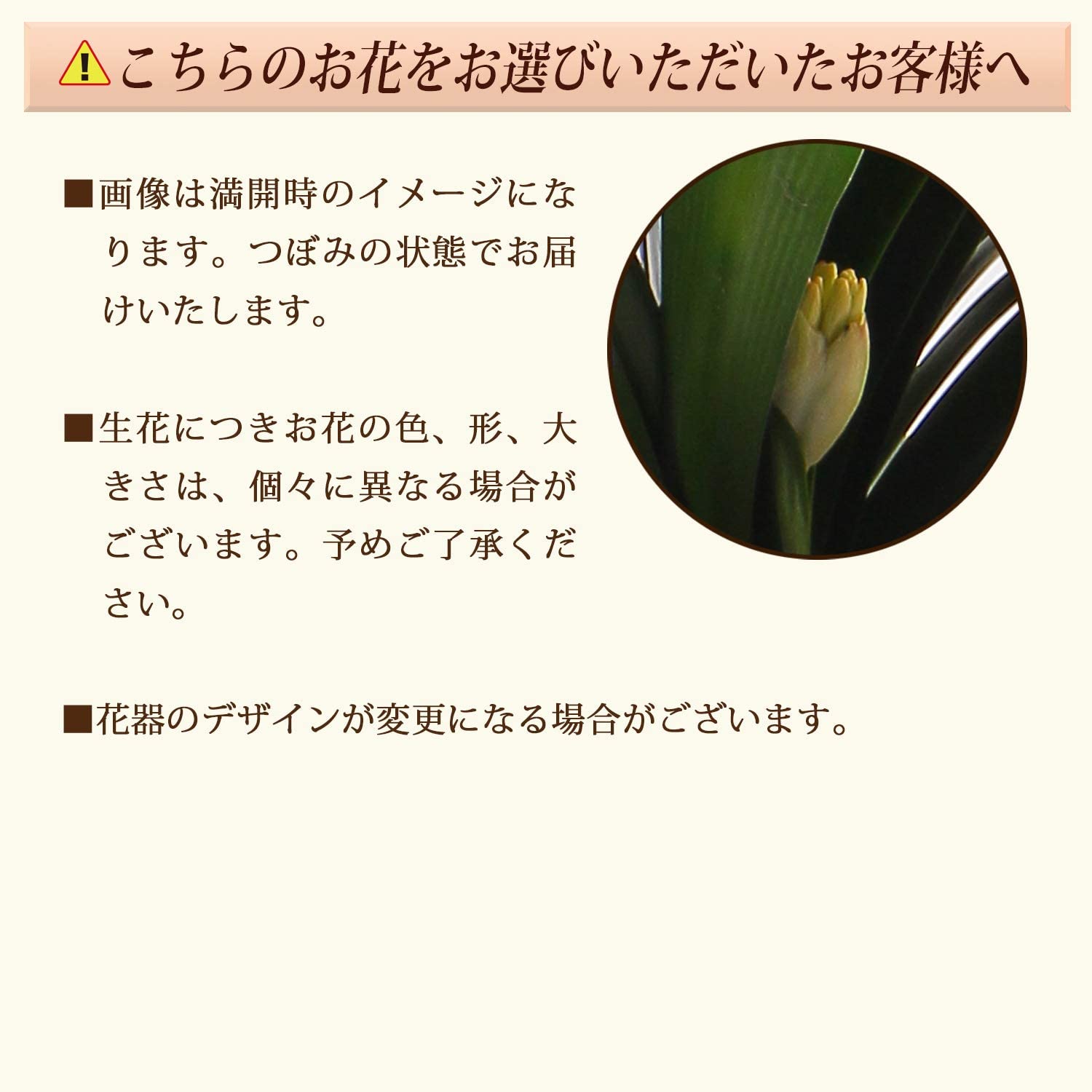 ������ ȭ���� �ե����ե� �� �ץ쥼��� �ߥ��ե� ���� �޽� ������ 5��ȭ