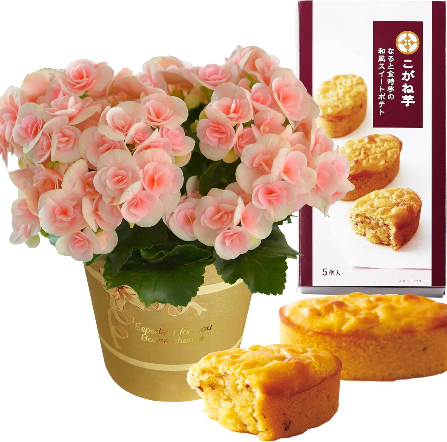 �꡼�������β� �꡼�������٥��˥� �����Ͱ� �֤ȥ������� �٥��˥� ȭ���� ȭ��