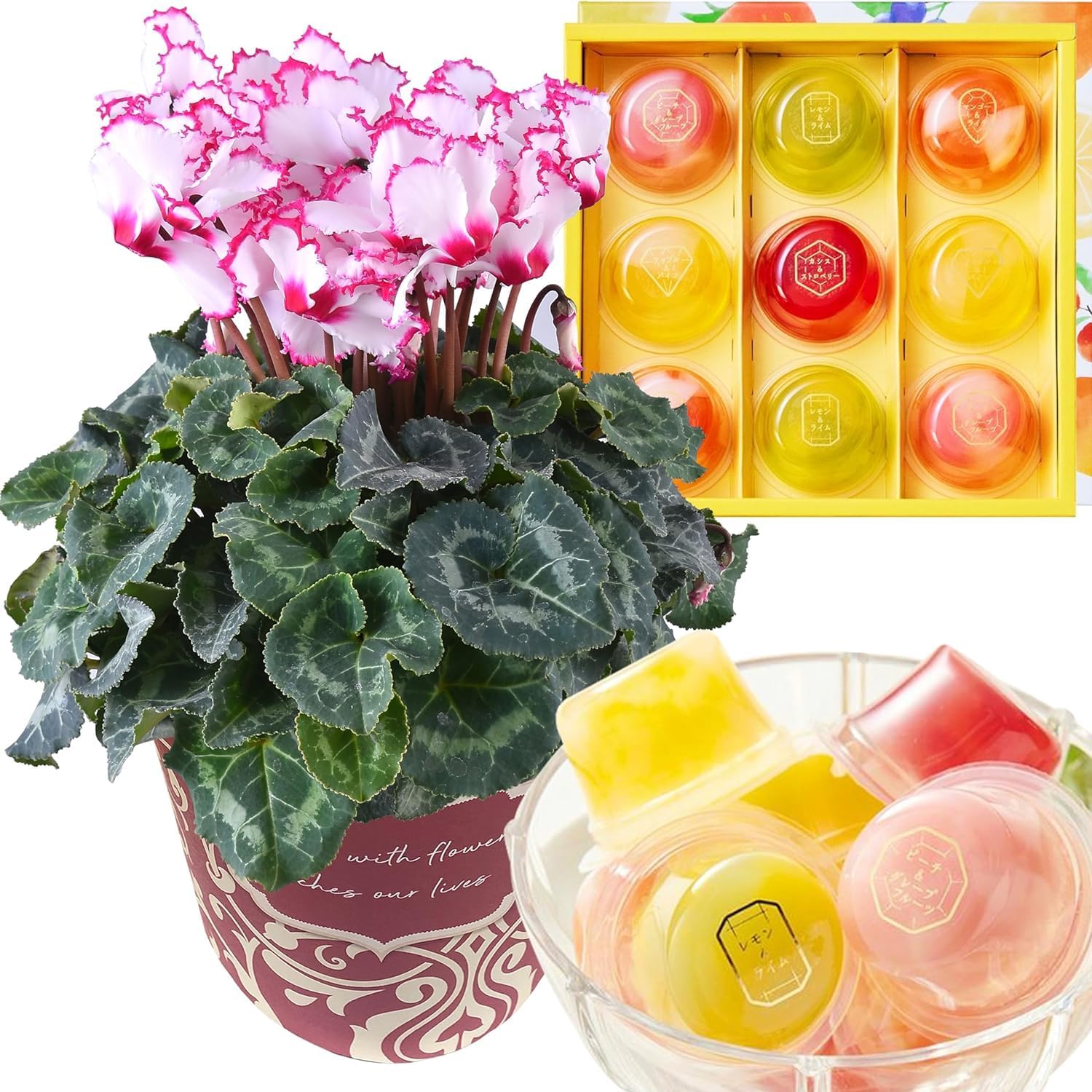 �������� ���ե� �ץ쥼��� �� ȭ���� ȭ�� ������ 5��ȭ �� �ӥ��ȥꥢ ����