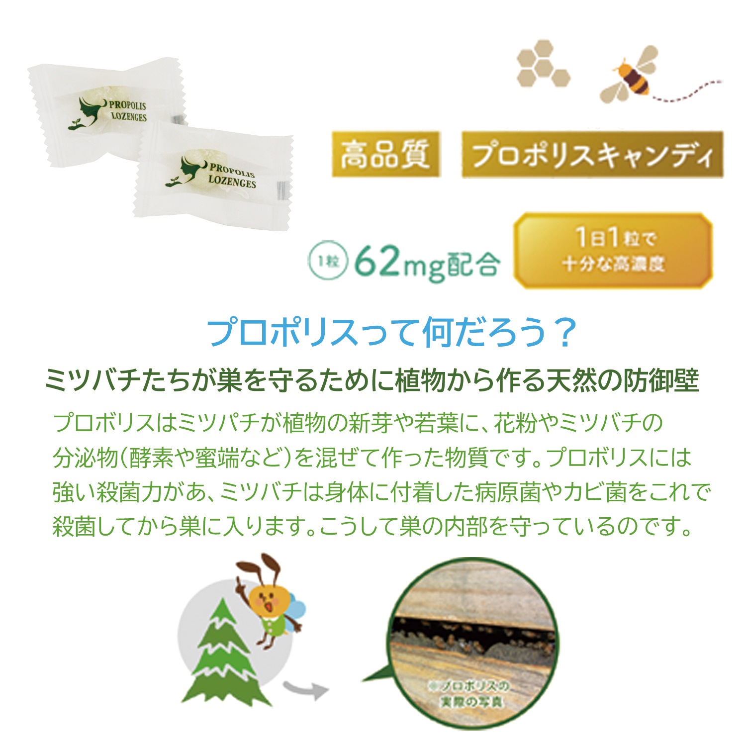 ץݥꥹΤɰ ץݥꥹǥ 74g ̣ 