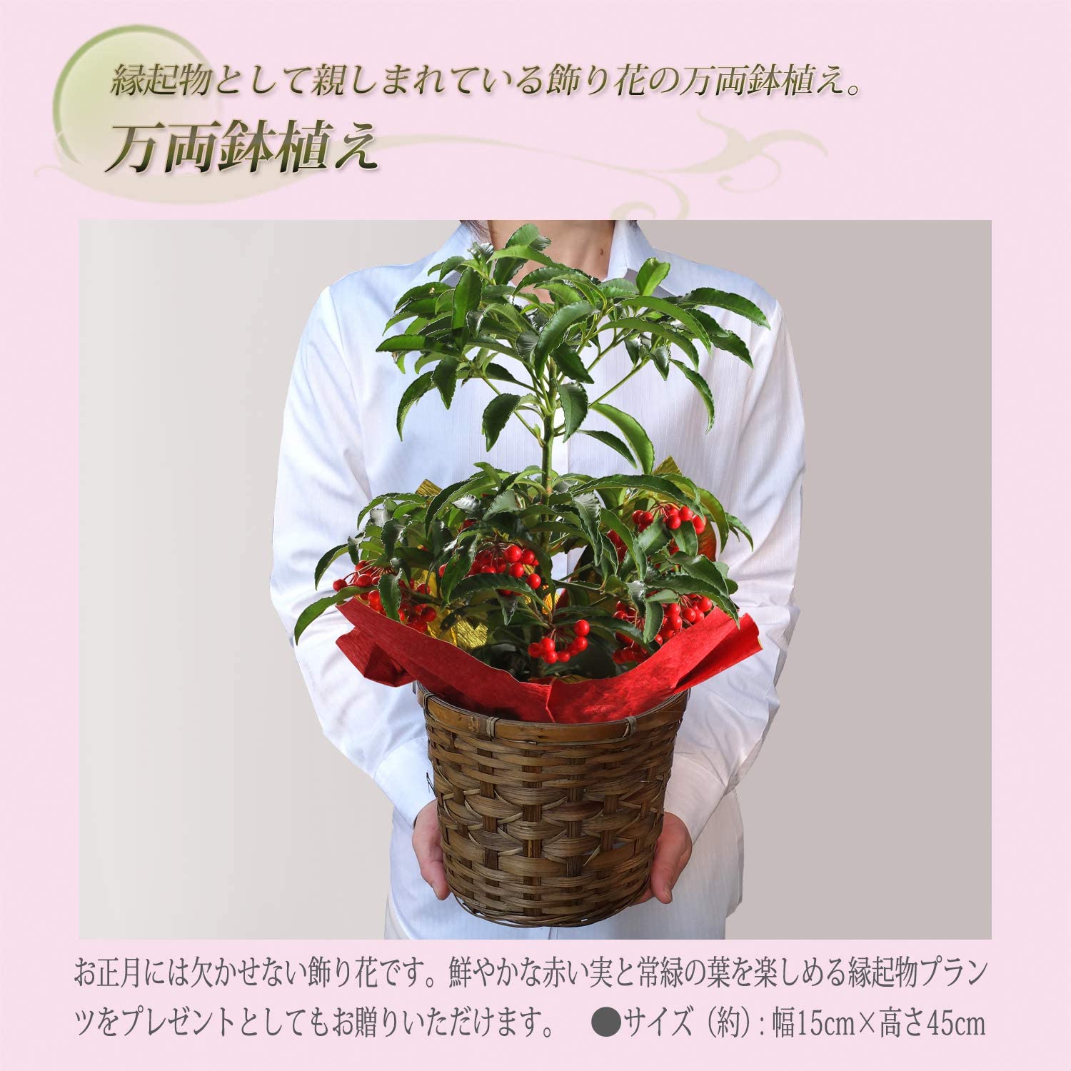 ��ξ ȭ���� �ե����ե� �� �ץ쥼��� �ߥ��ե� ���� �޽� ������