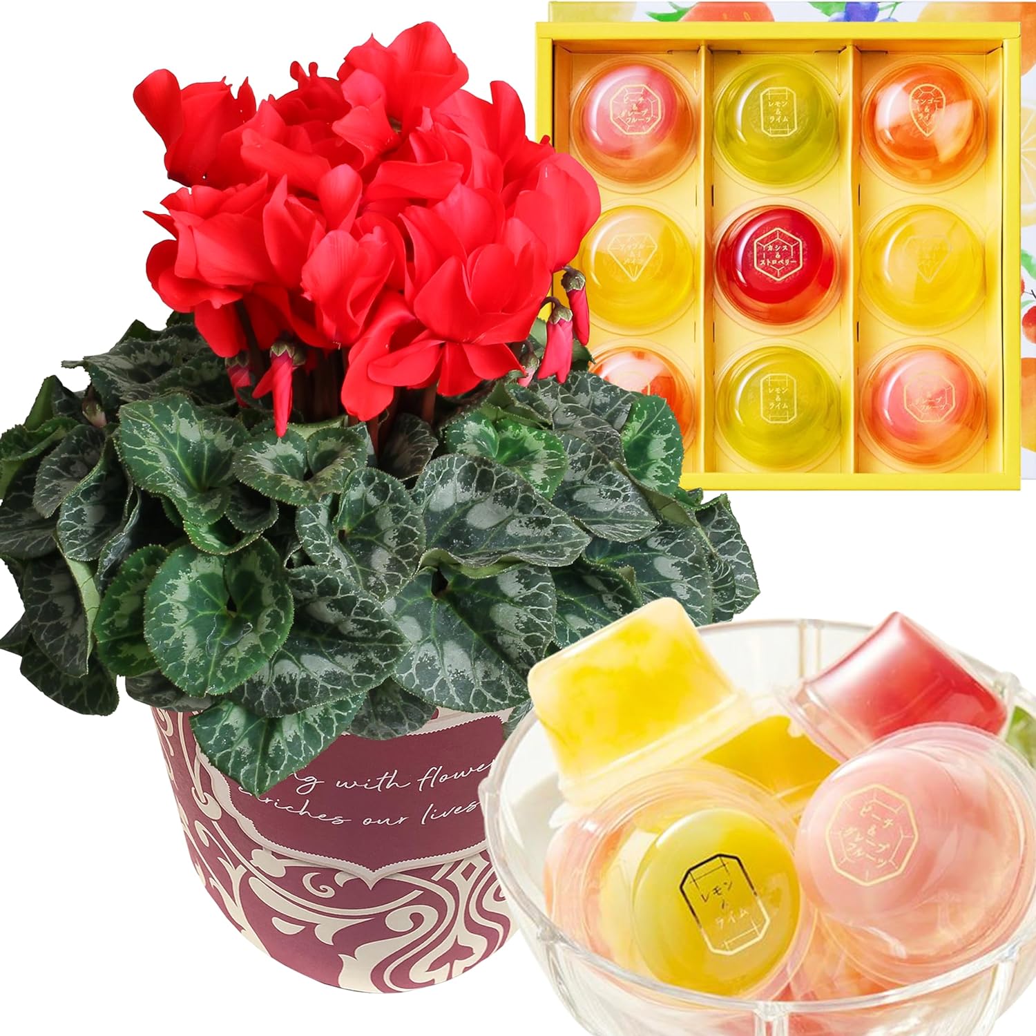  ե ץ쥼  ȭ ȭ  5ȭ  ۻ ꡼