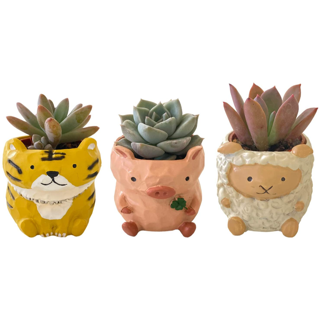 ¿�� �͵��� ���˥ޥ� ������ ƫ��ȭ ưʪ ����ƥꥢ ���տ�ʪ ���ե� ¿����ʪ