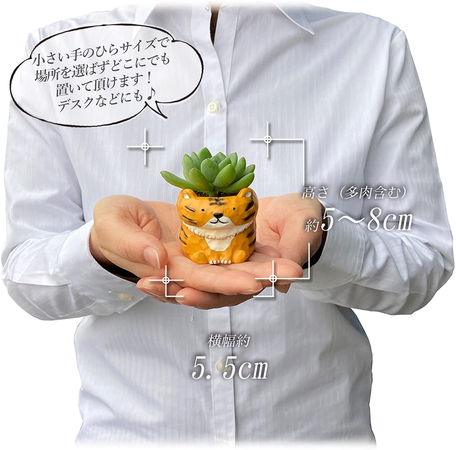 ¿�� �͵��� ���˥ޥ� ������ ƫ��ȭ ưʪ ����ƥꥢ ���տ�ʪ ���ե� ¿����ʪ