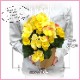 �꡼������ �٥��˥� �� ���ե� ������ �ץ쥼��� �꡼�������٥��˥� ȭ�� ��ȭ