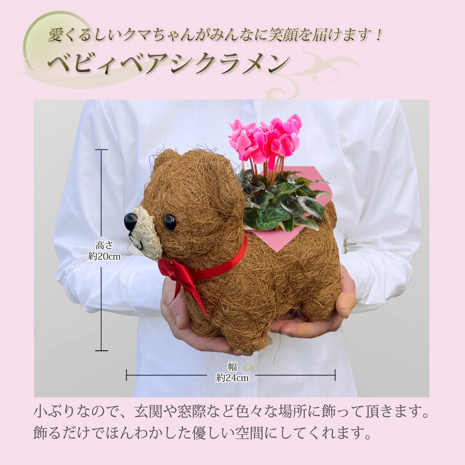 ���� ưʪ �ߥ˥������� ȭ�� �ե����ե� �� �ץ쥼��� �ߥ��ե� ���� 3��