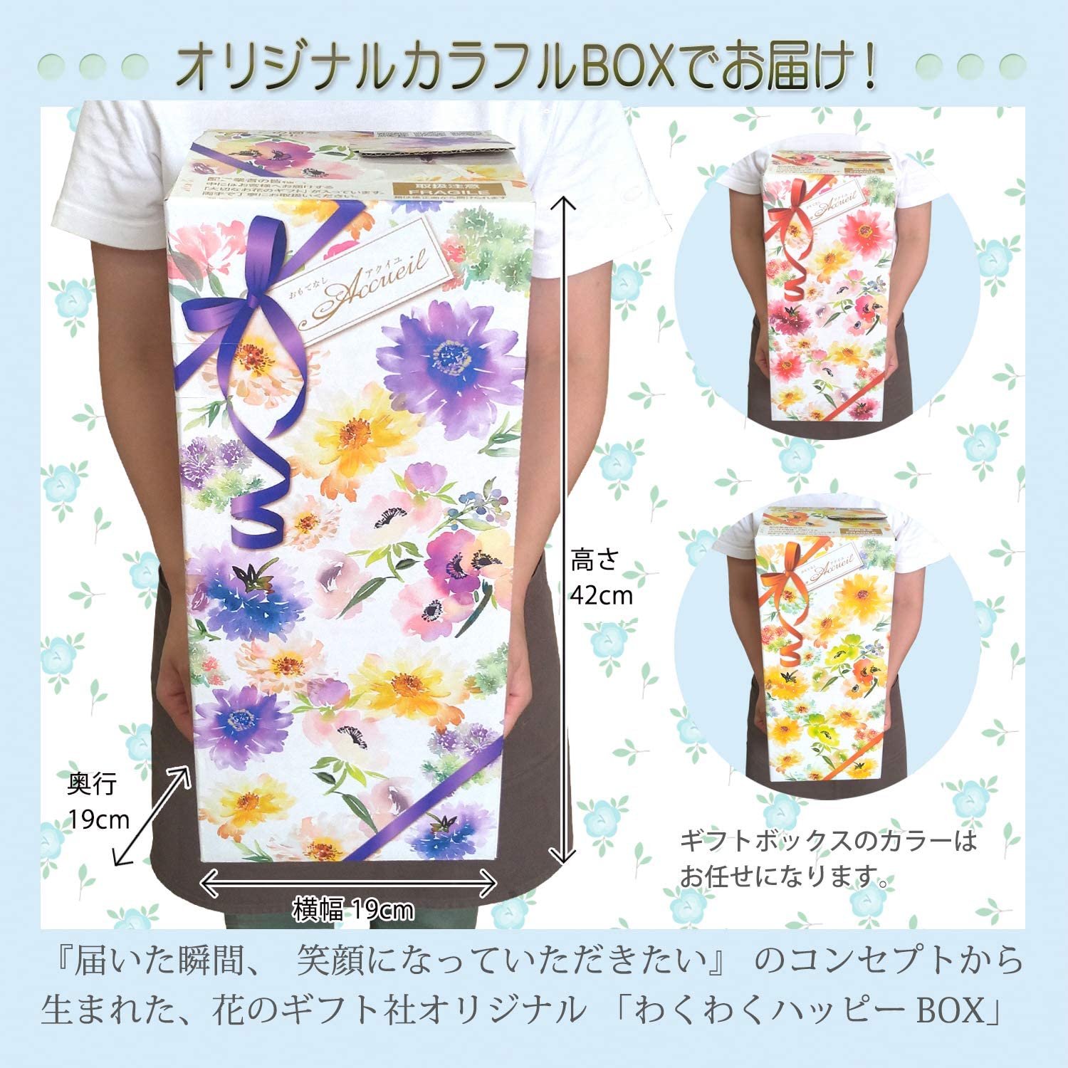 オリーブの木 鉢植え オリーブ苗 オリーブの樹 オリーブ品種